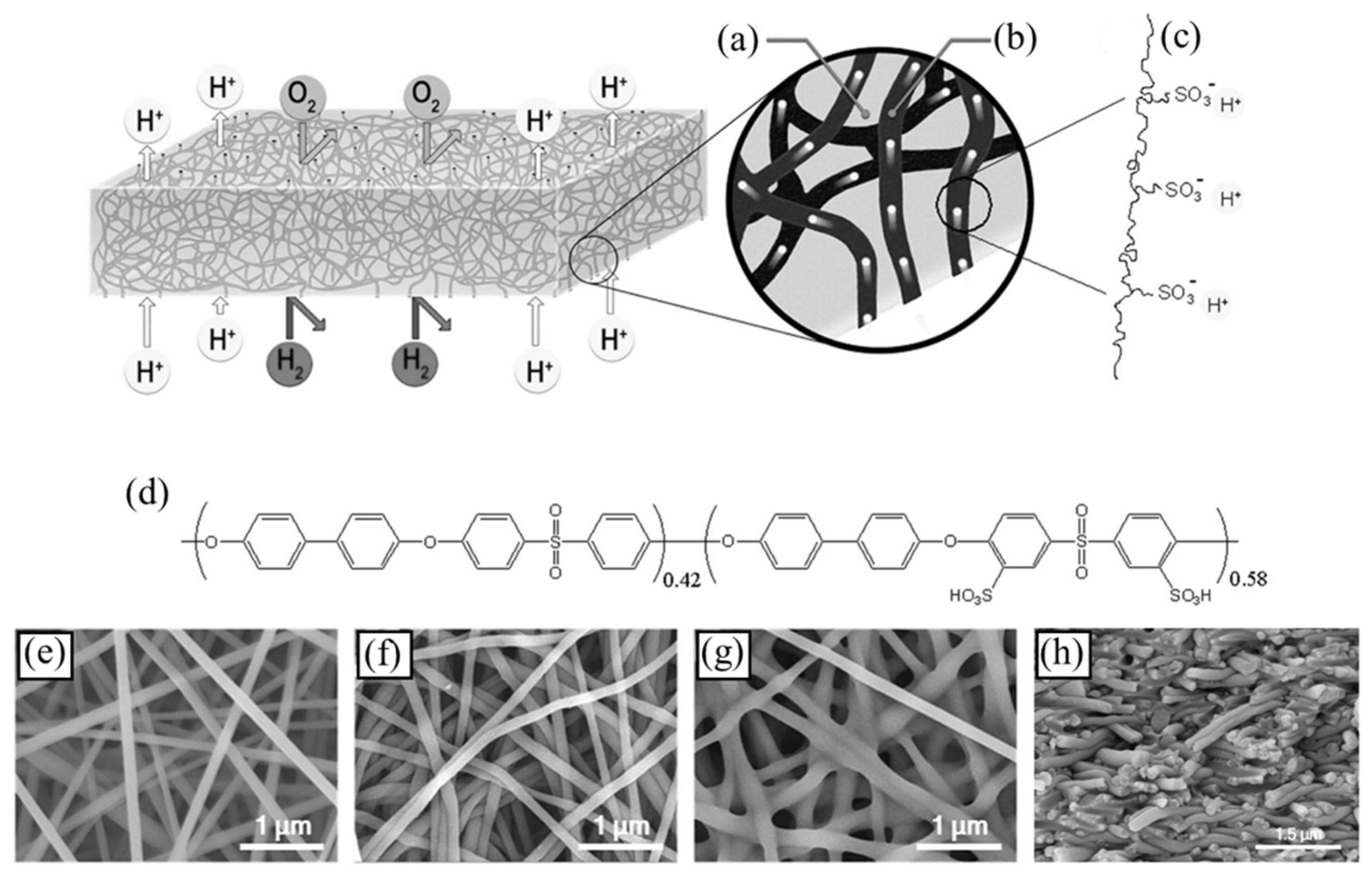 Polymers 16 03564 g005