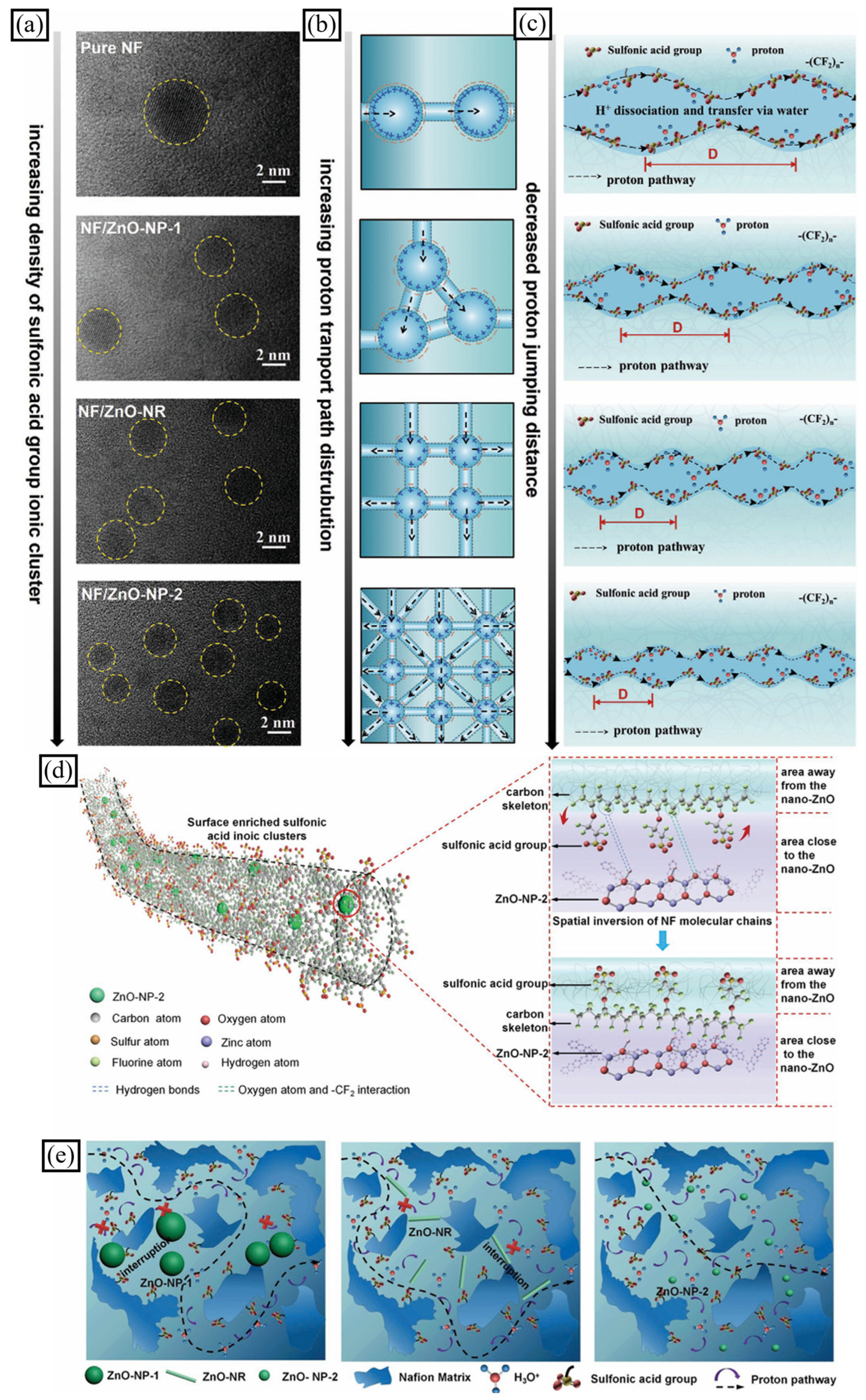 Polymers 16 03564 g006