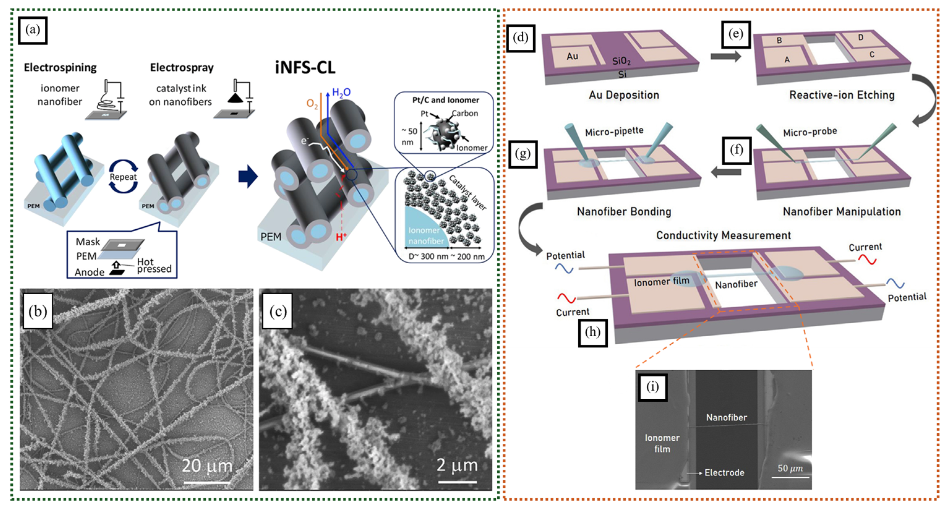 Polymers 16 03564 g007