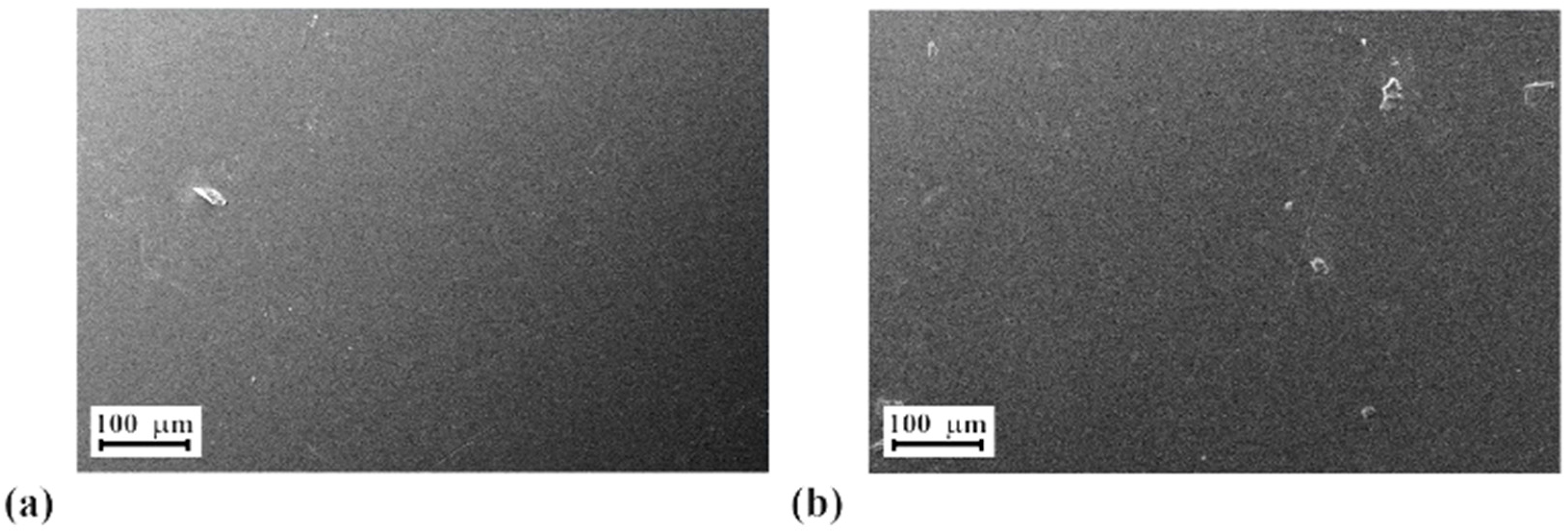 Polymers 16 03566 g001