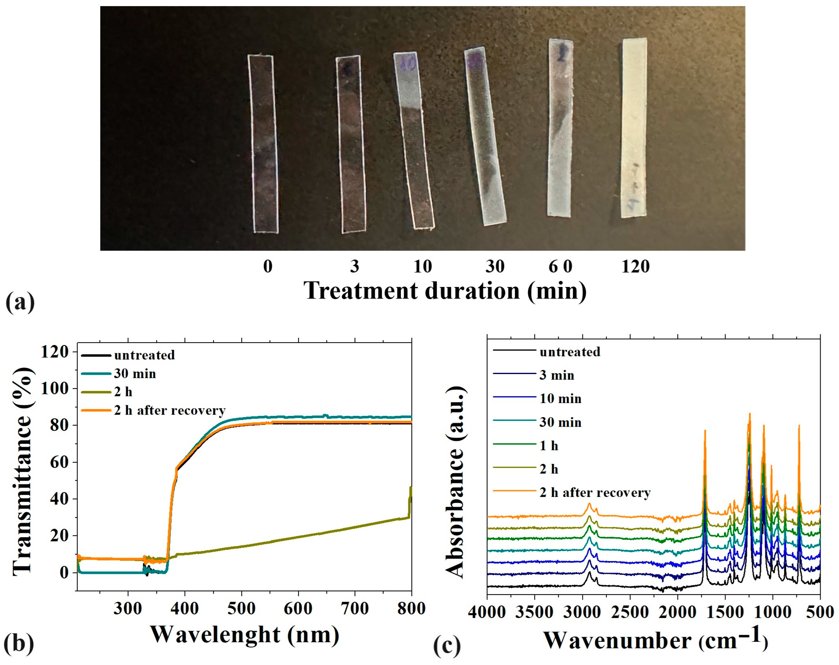 Polymers 16 03566 g002