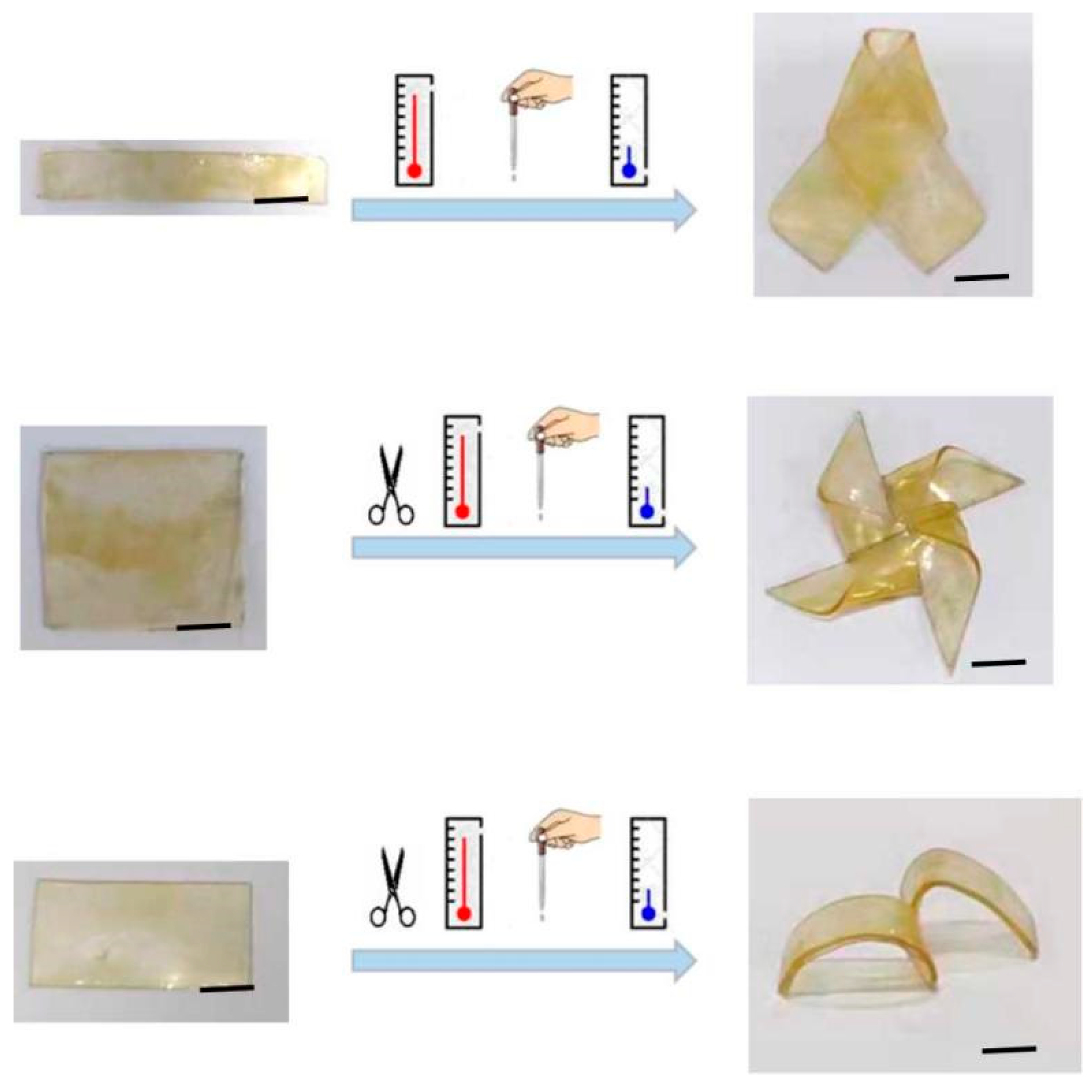 Polymers 16 03567 g010