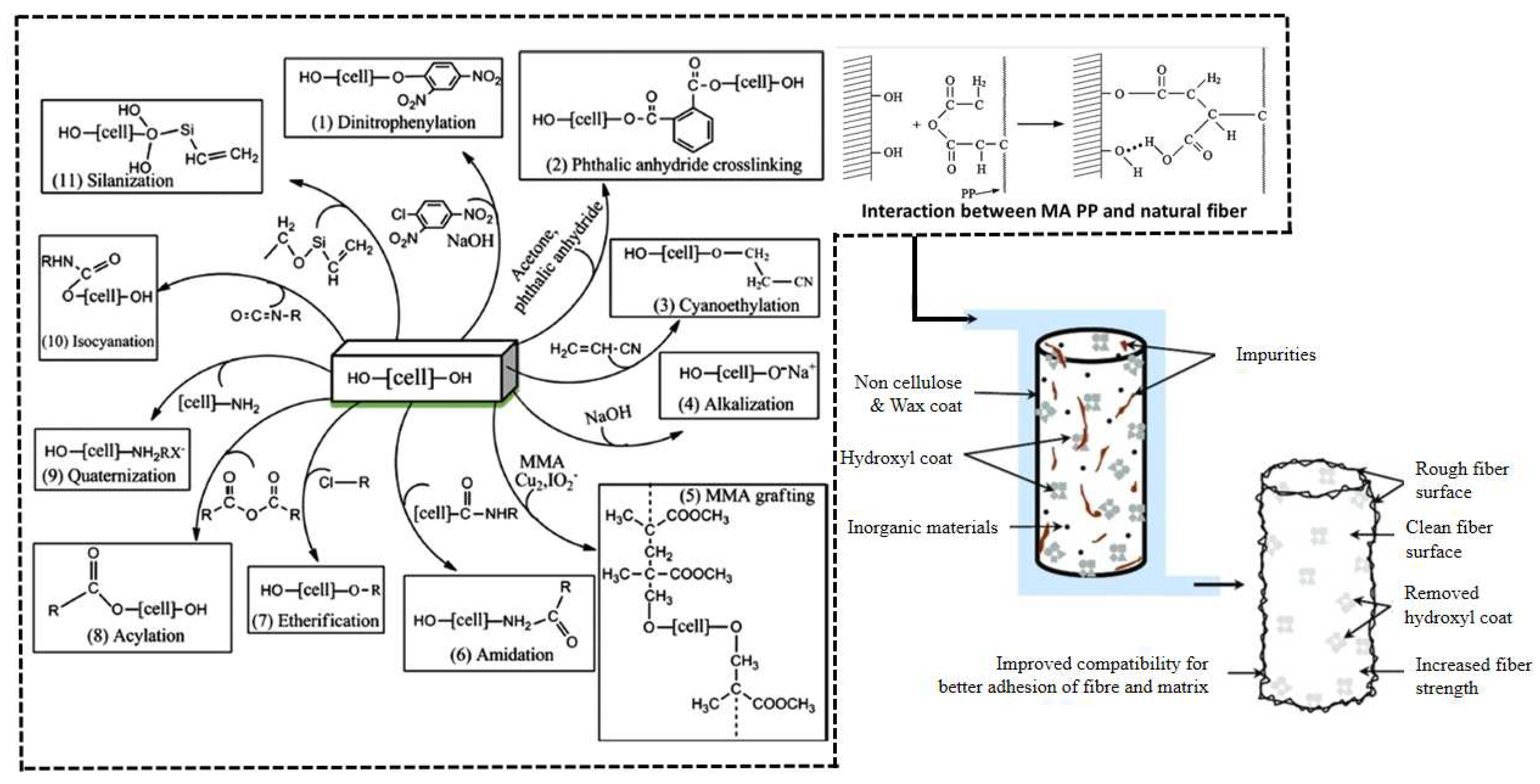 Polymers 16 03568 g007