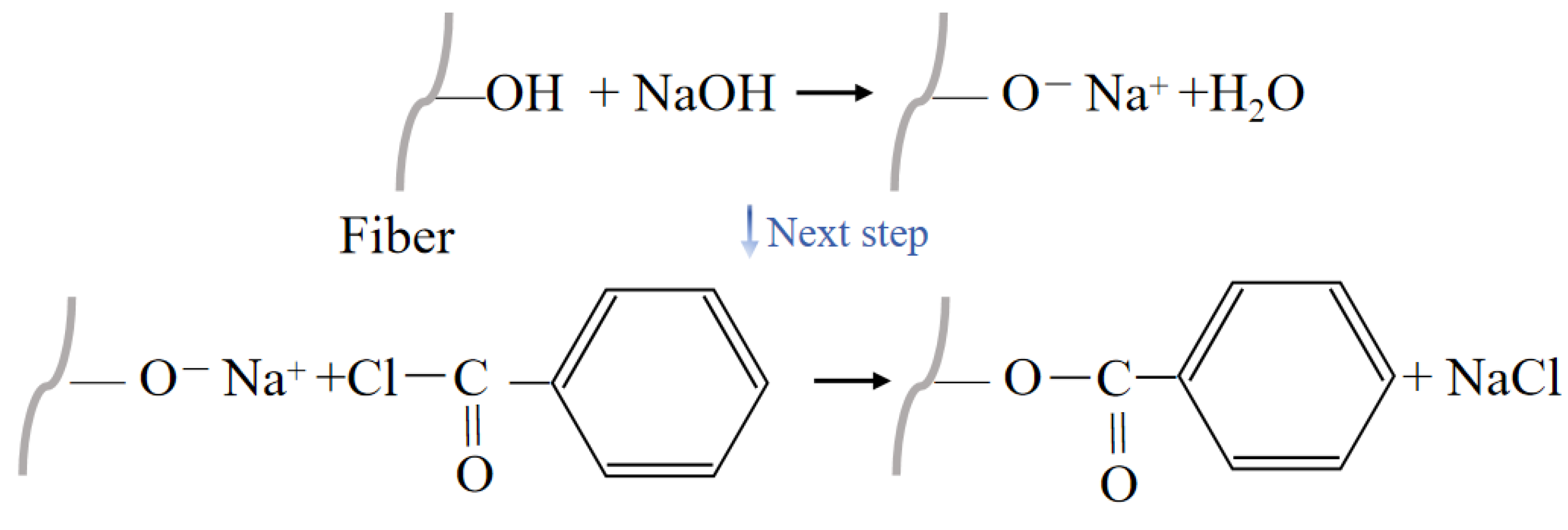 Polymers 16 03568 g013