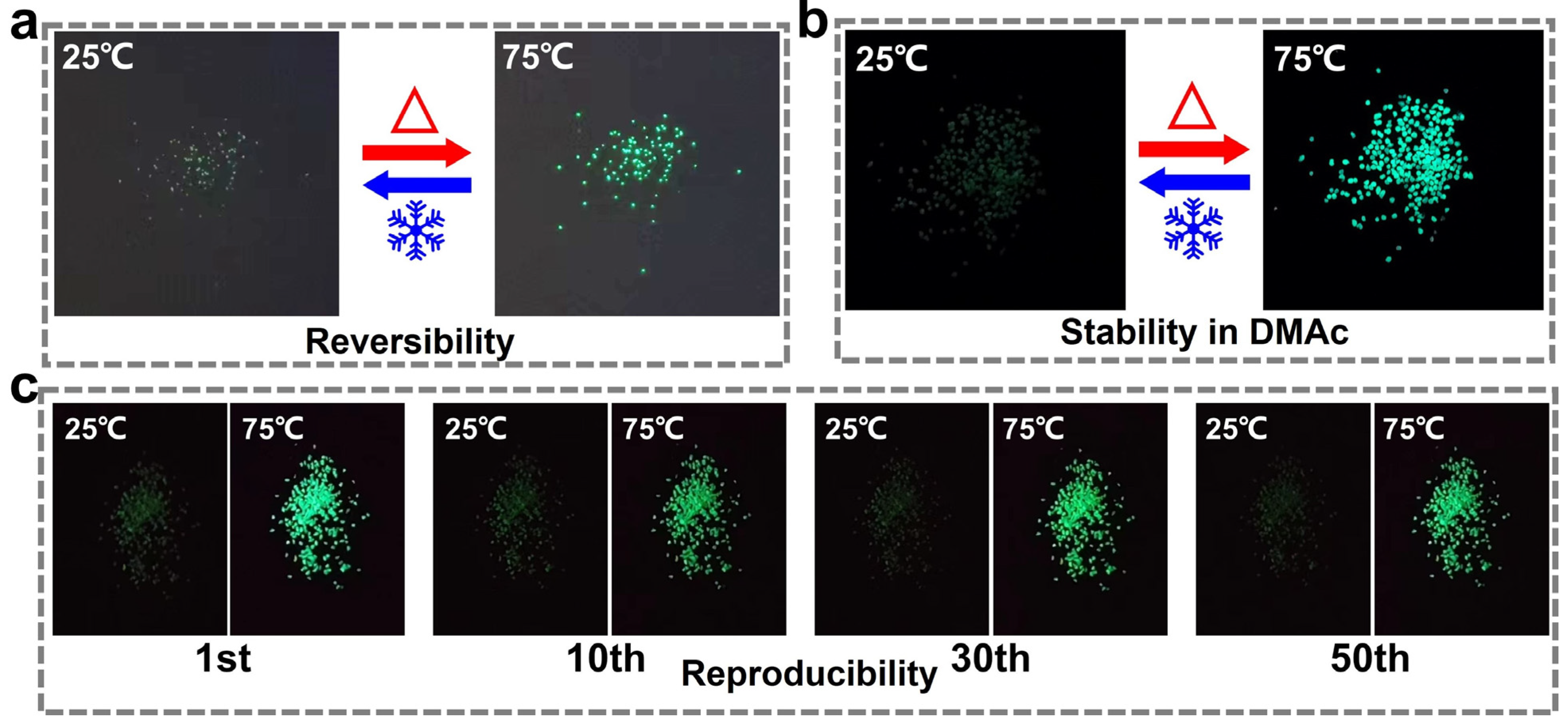 Polymers 16 03575 g003