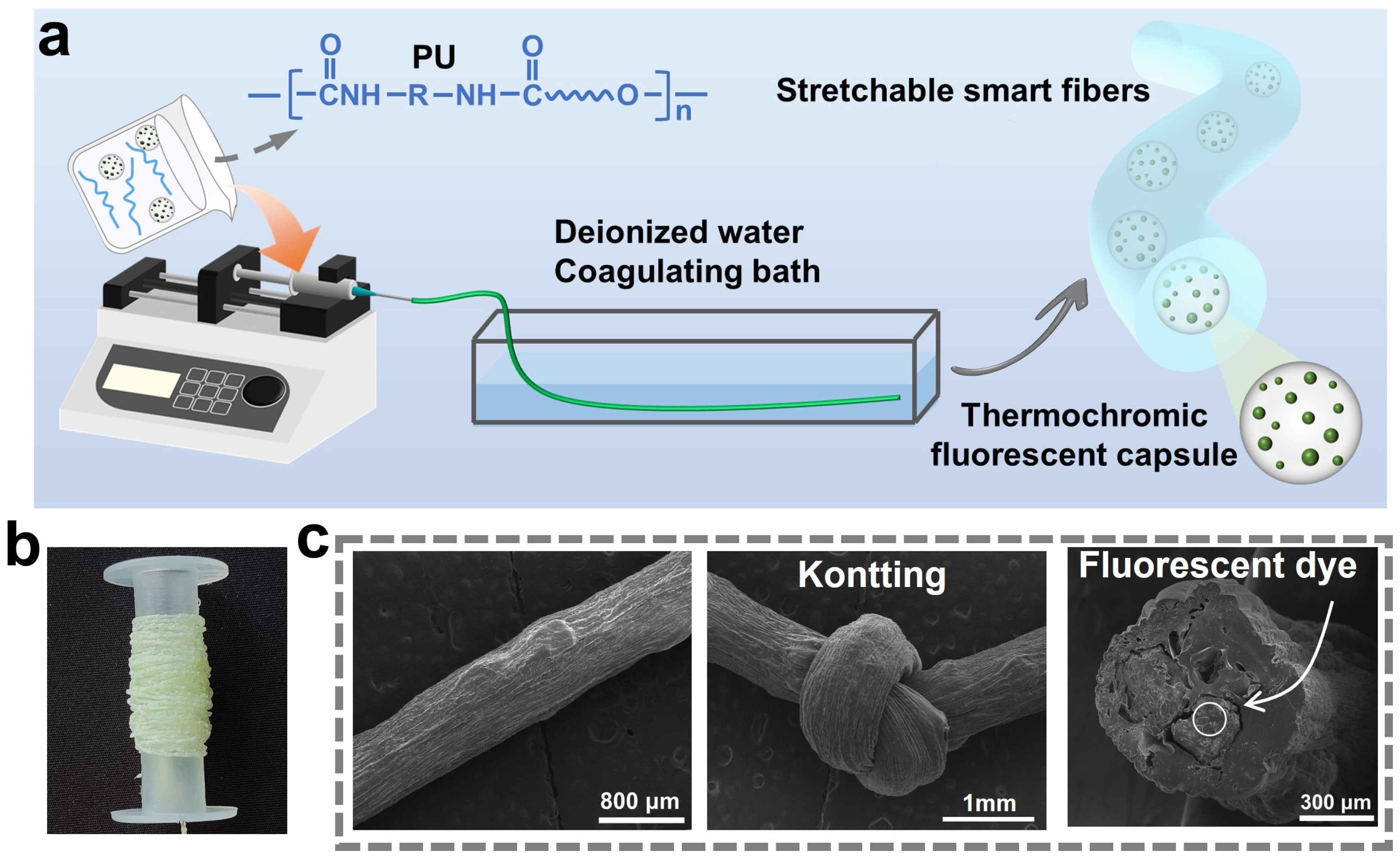 Polymers 16 03575 g004