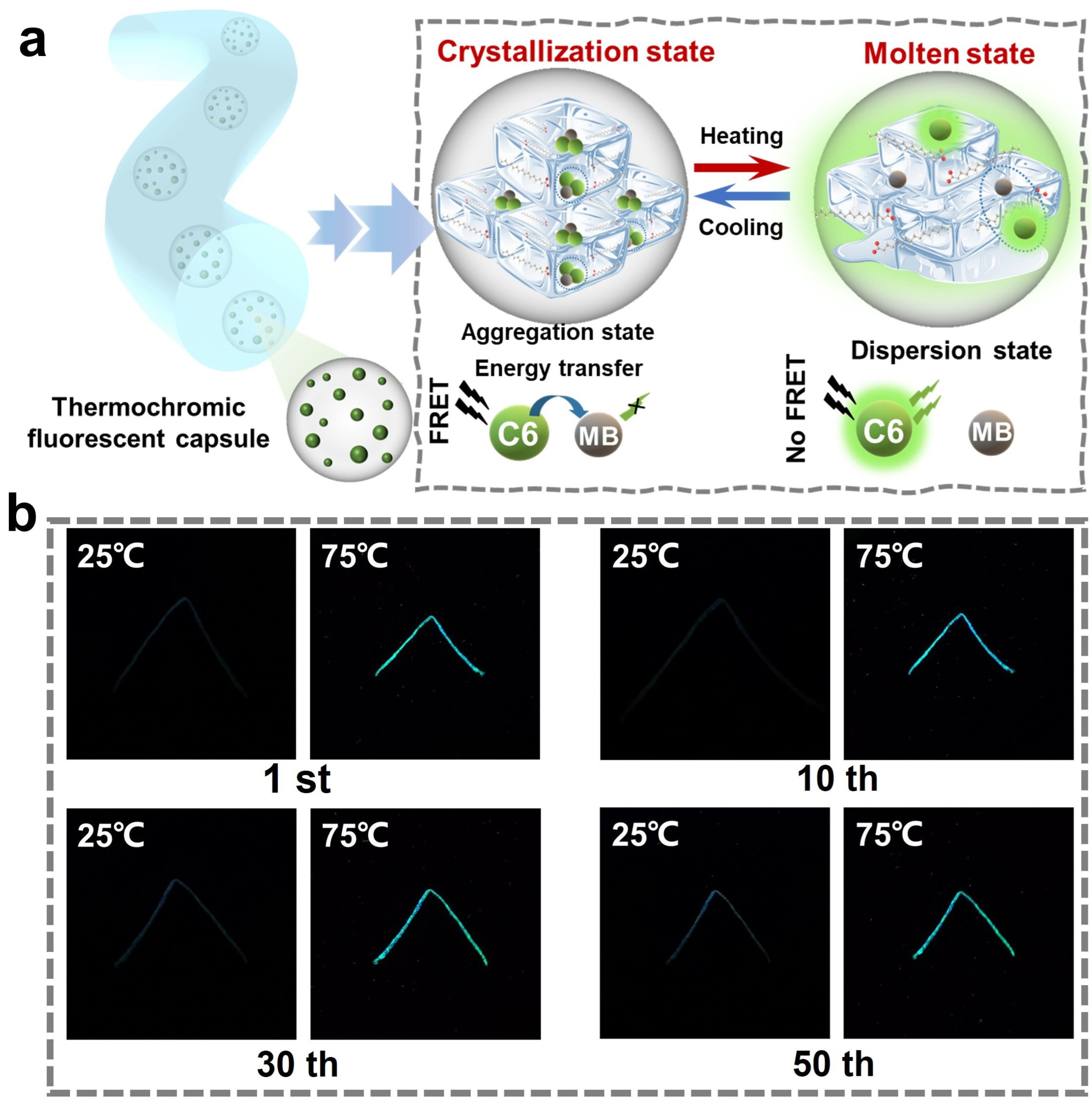 Polymers 16 03575 g007