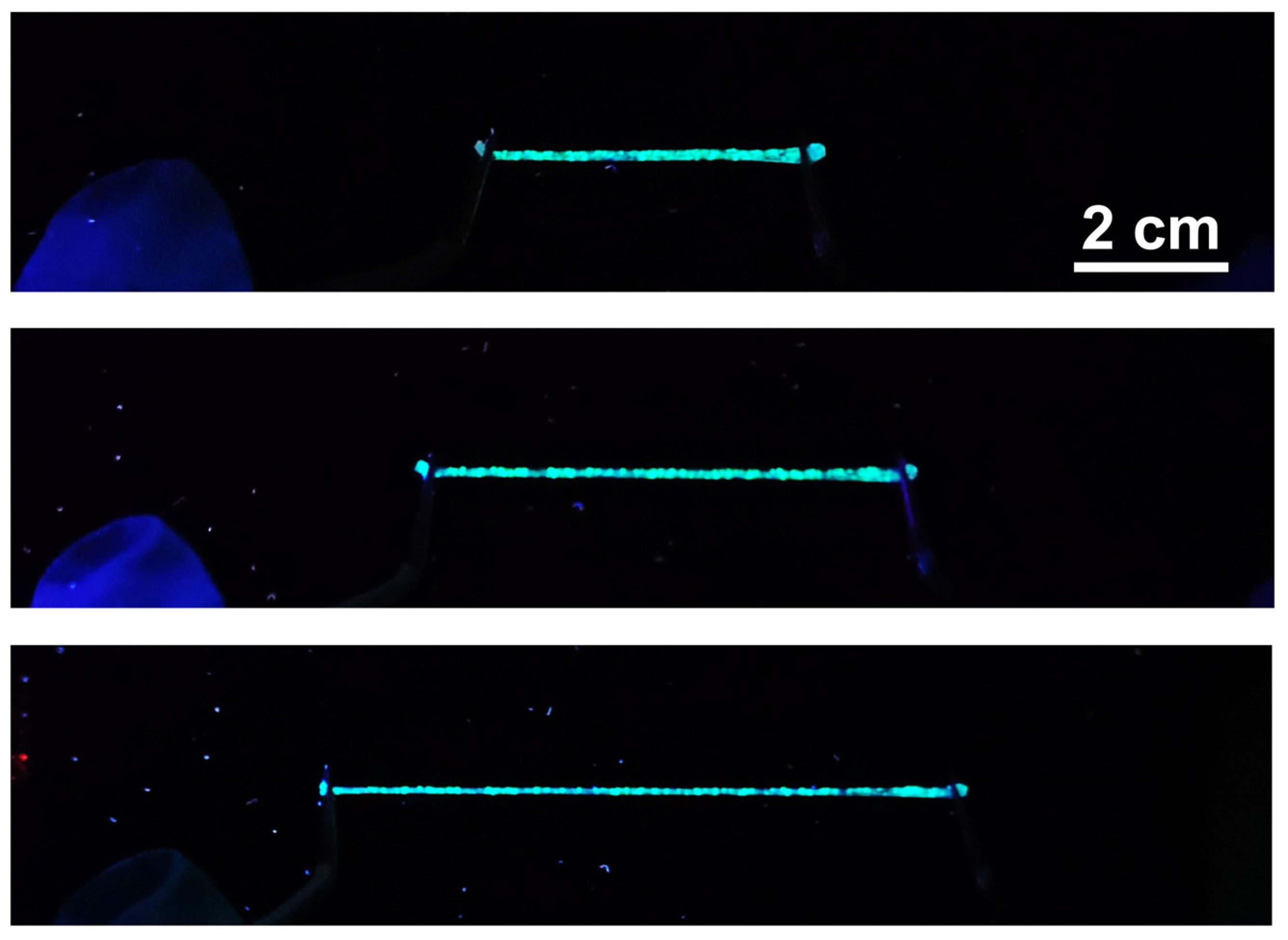 Polymers 16 03575 g008