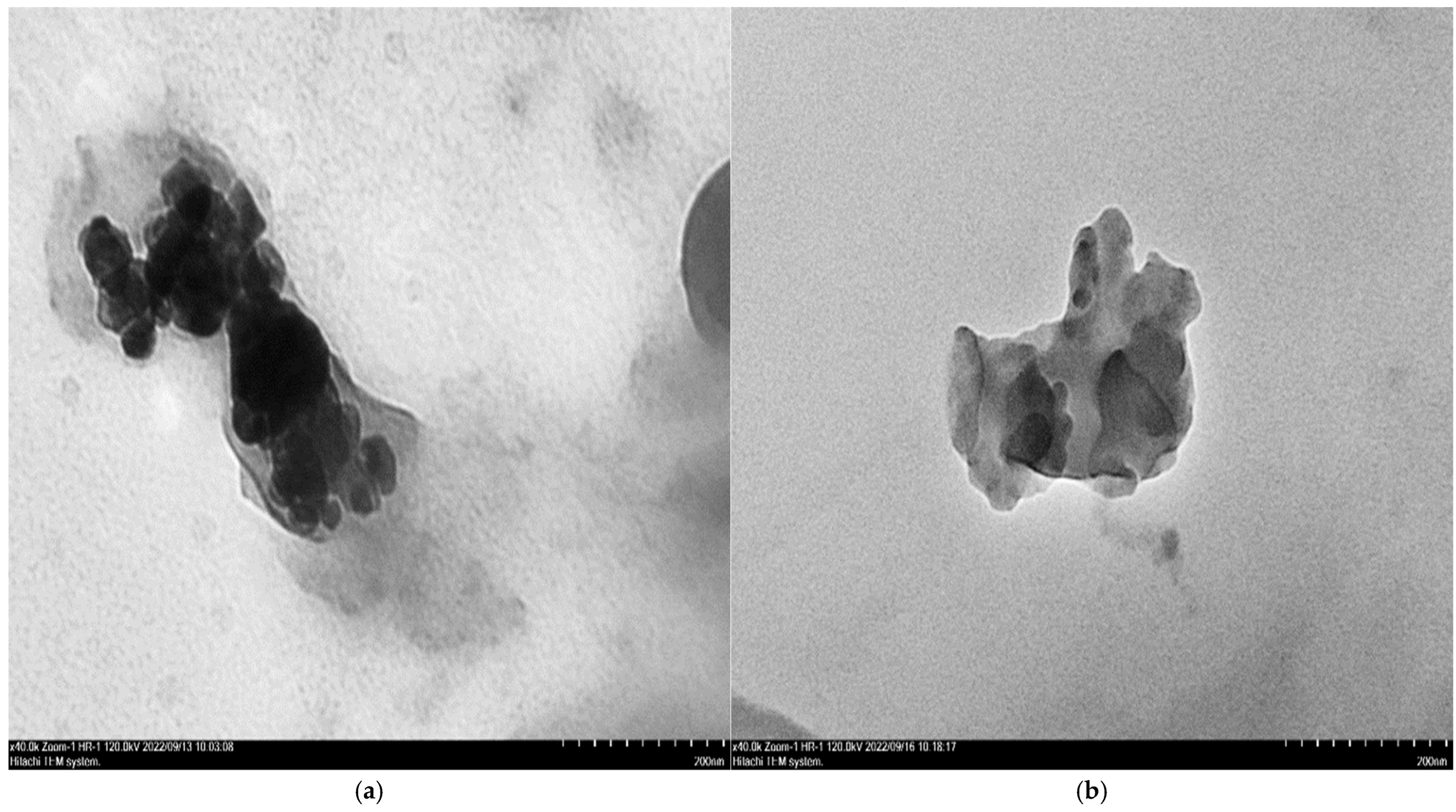 Polymers 16 03578 g001a