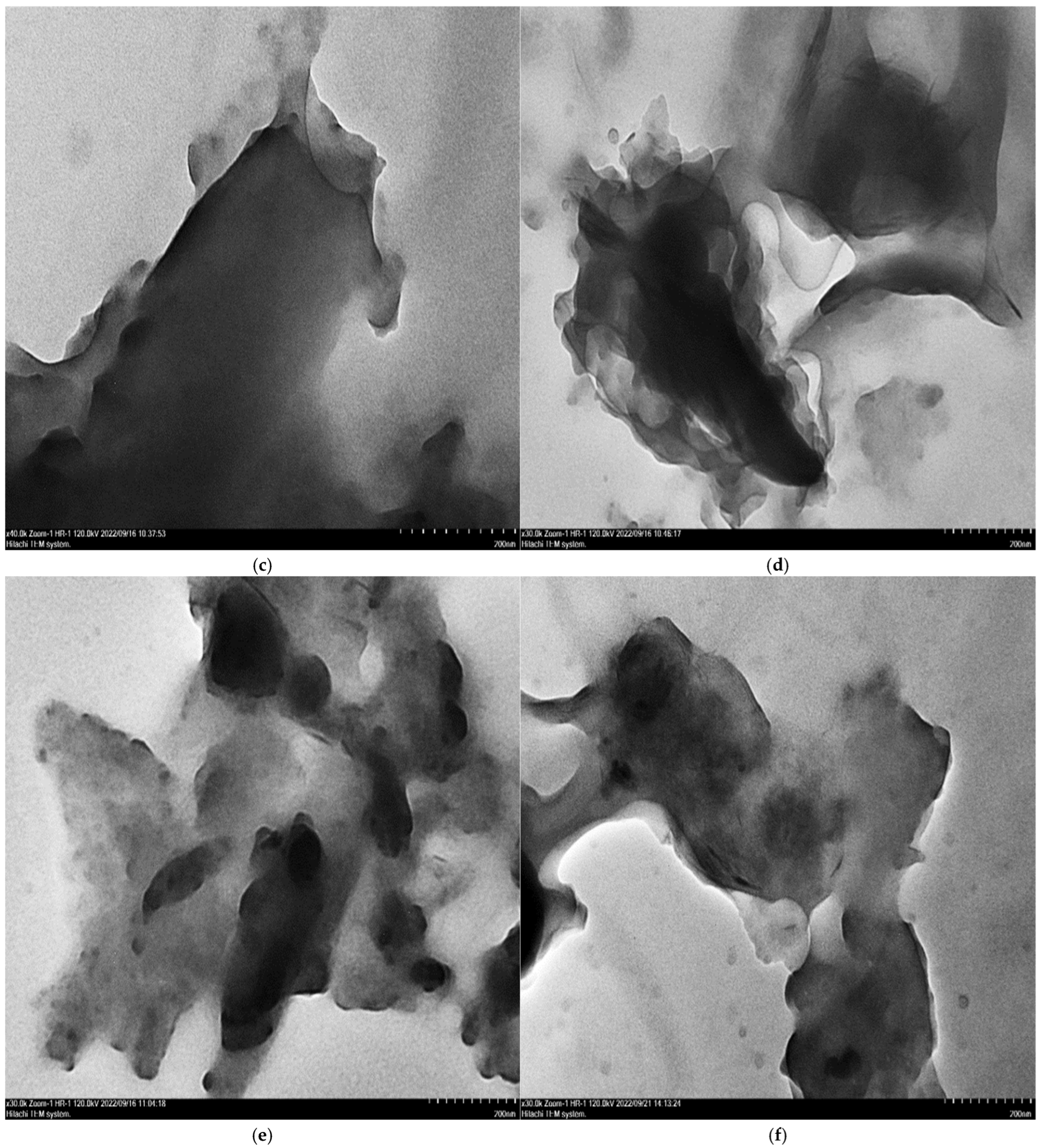 Polymers 16 03578 g001b