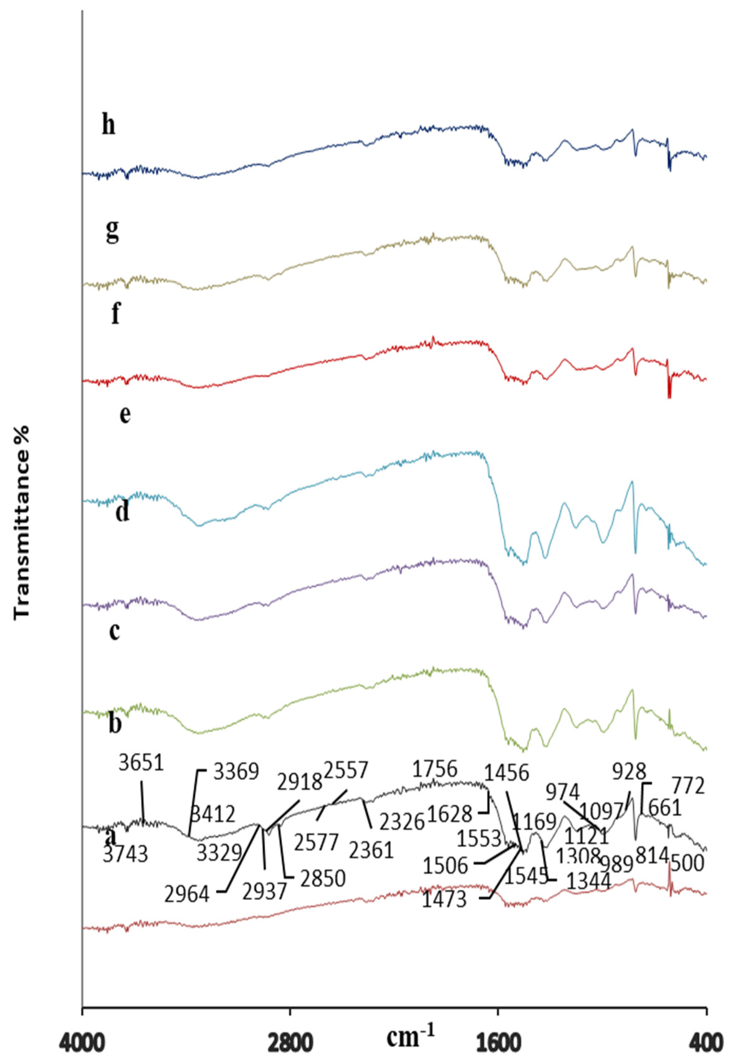 Polymers 16 03578 g003
