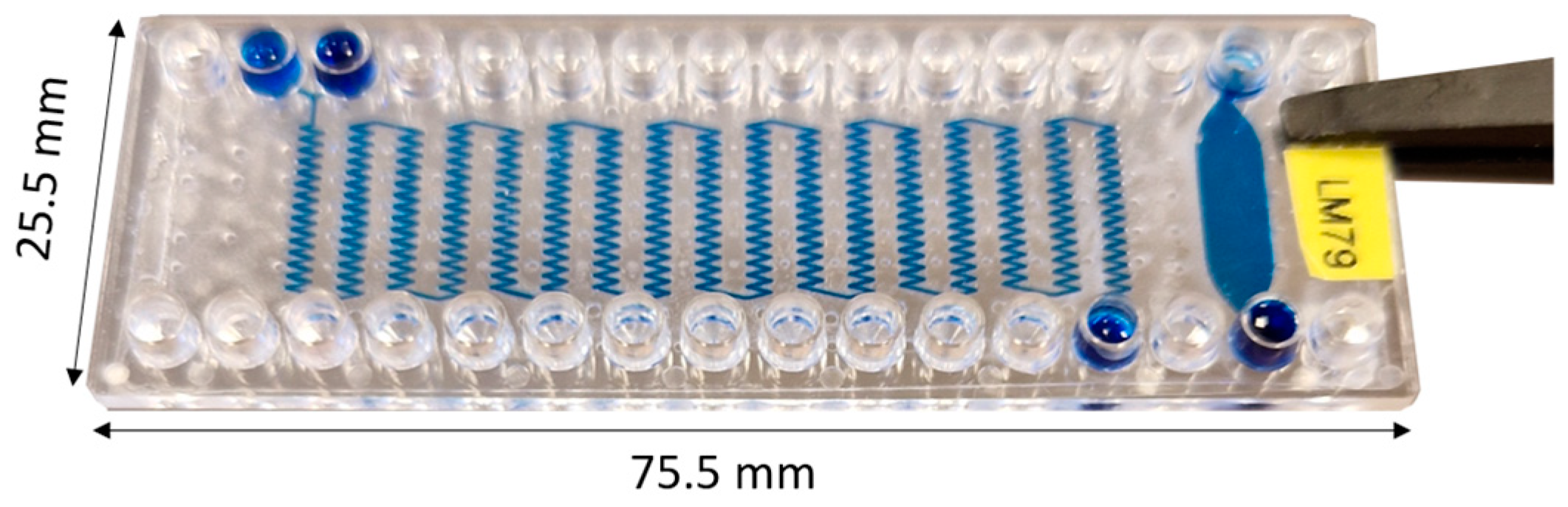 Polymers 16 03579 g001