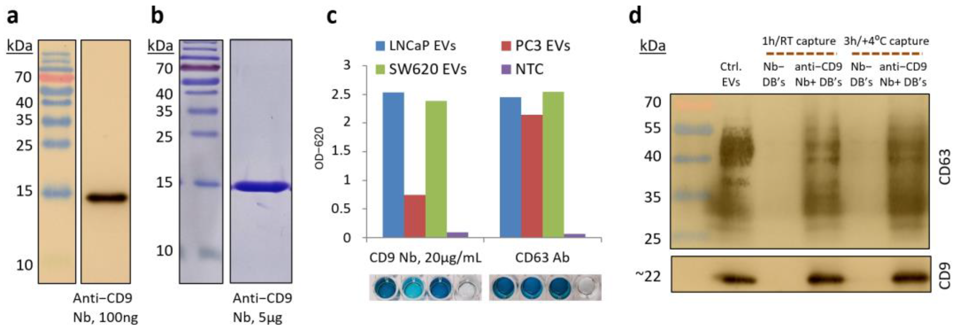 Polymers 16 03579 g004