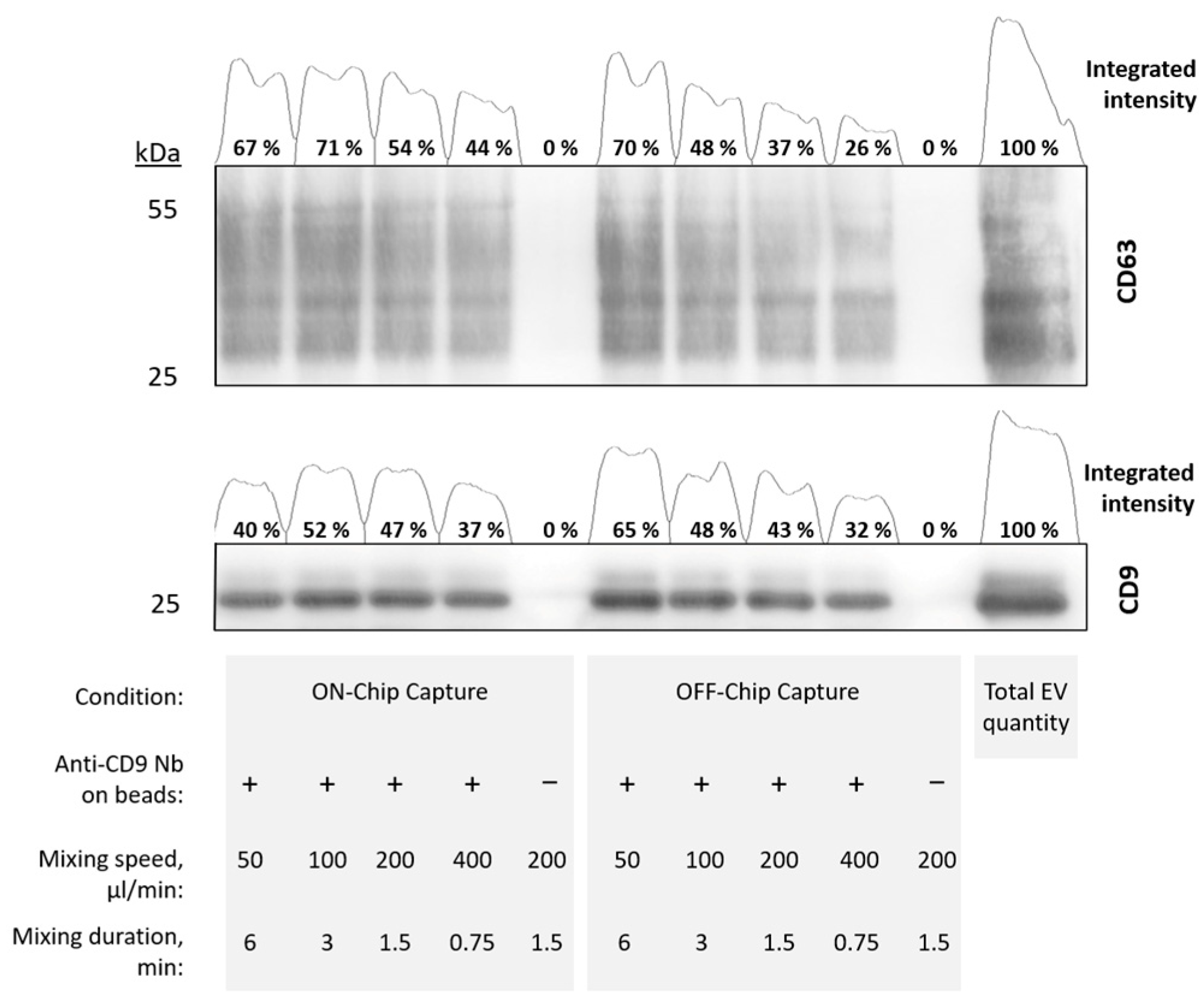 Polymers 16 03579 g005
