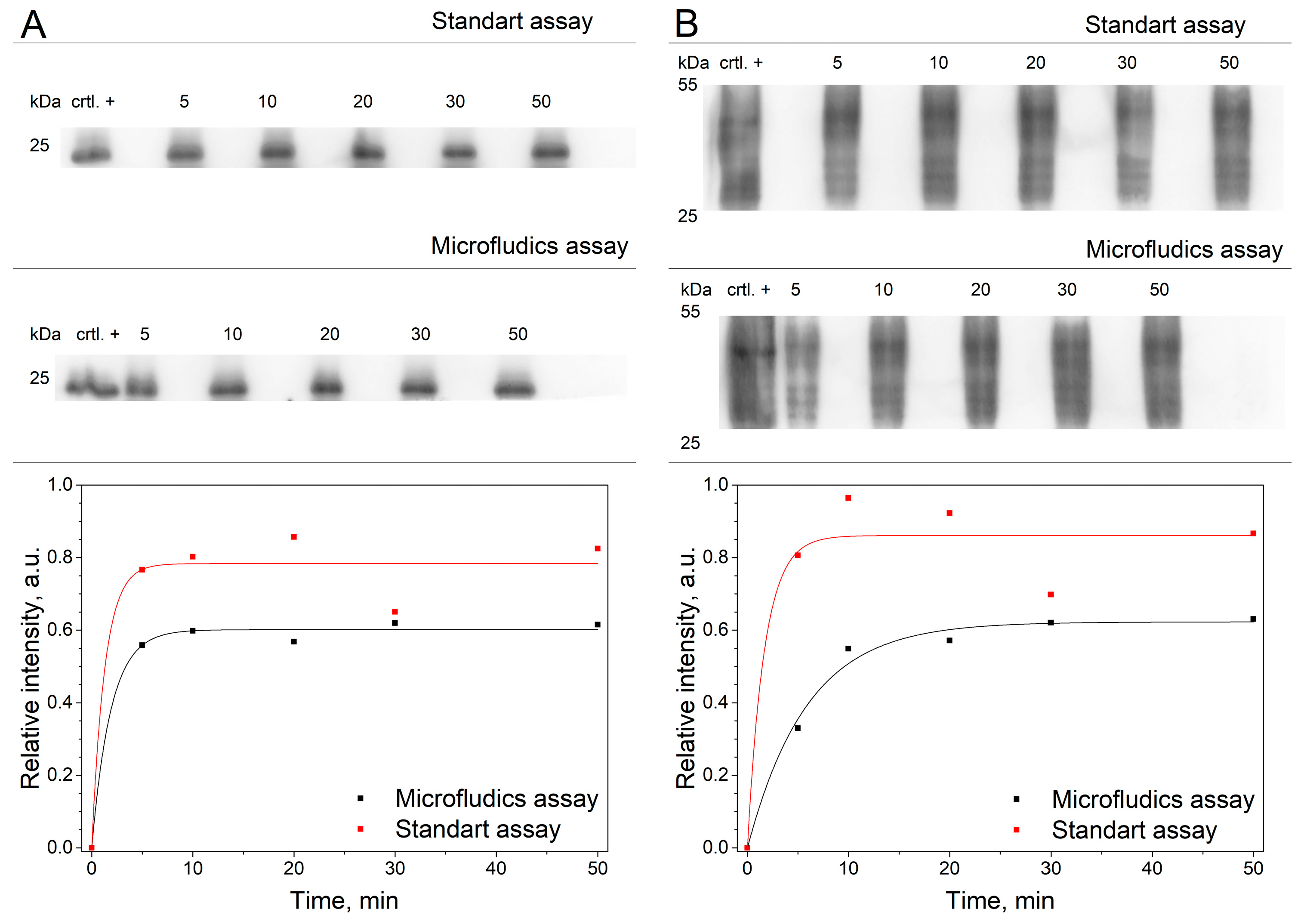 Polymers 16 03579 g006