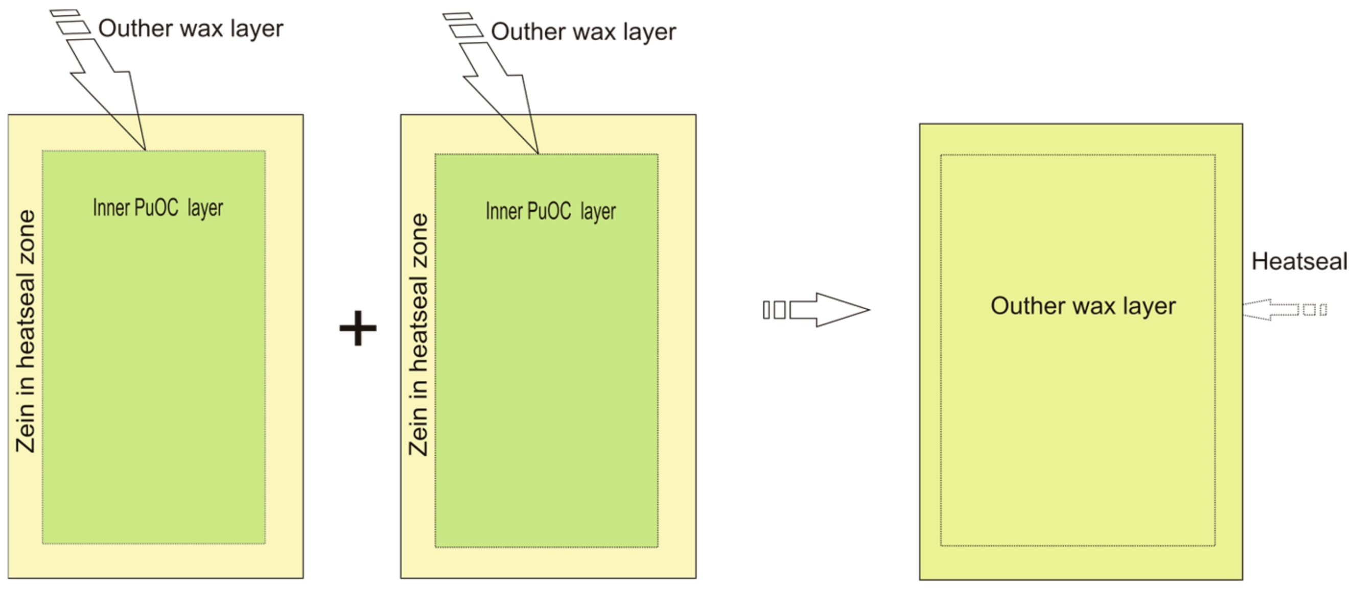 Polymers 16 03583 g001