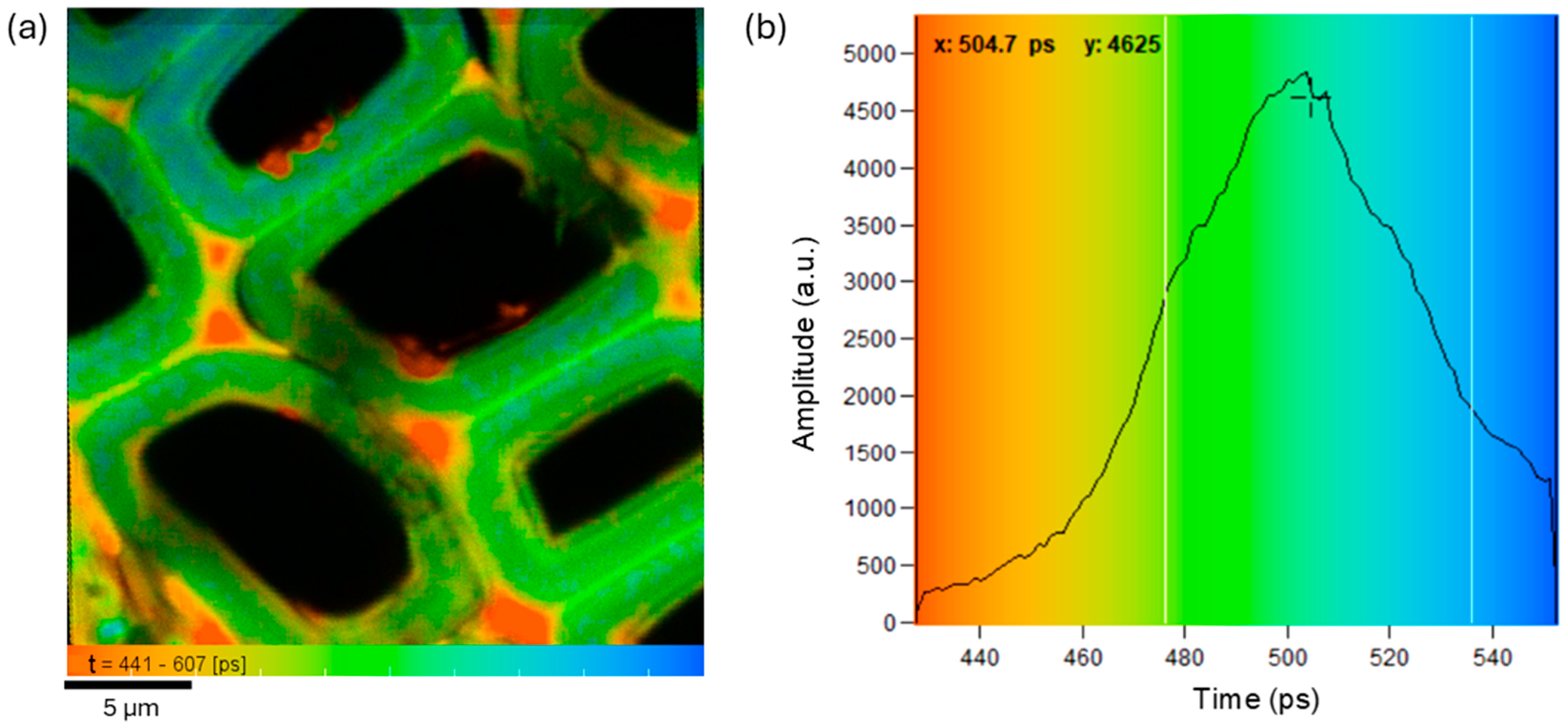 Polymers 16 03590 g003