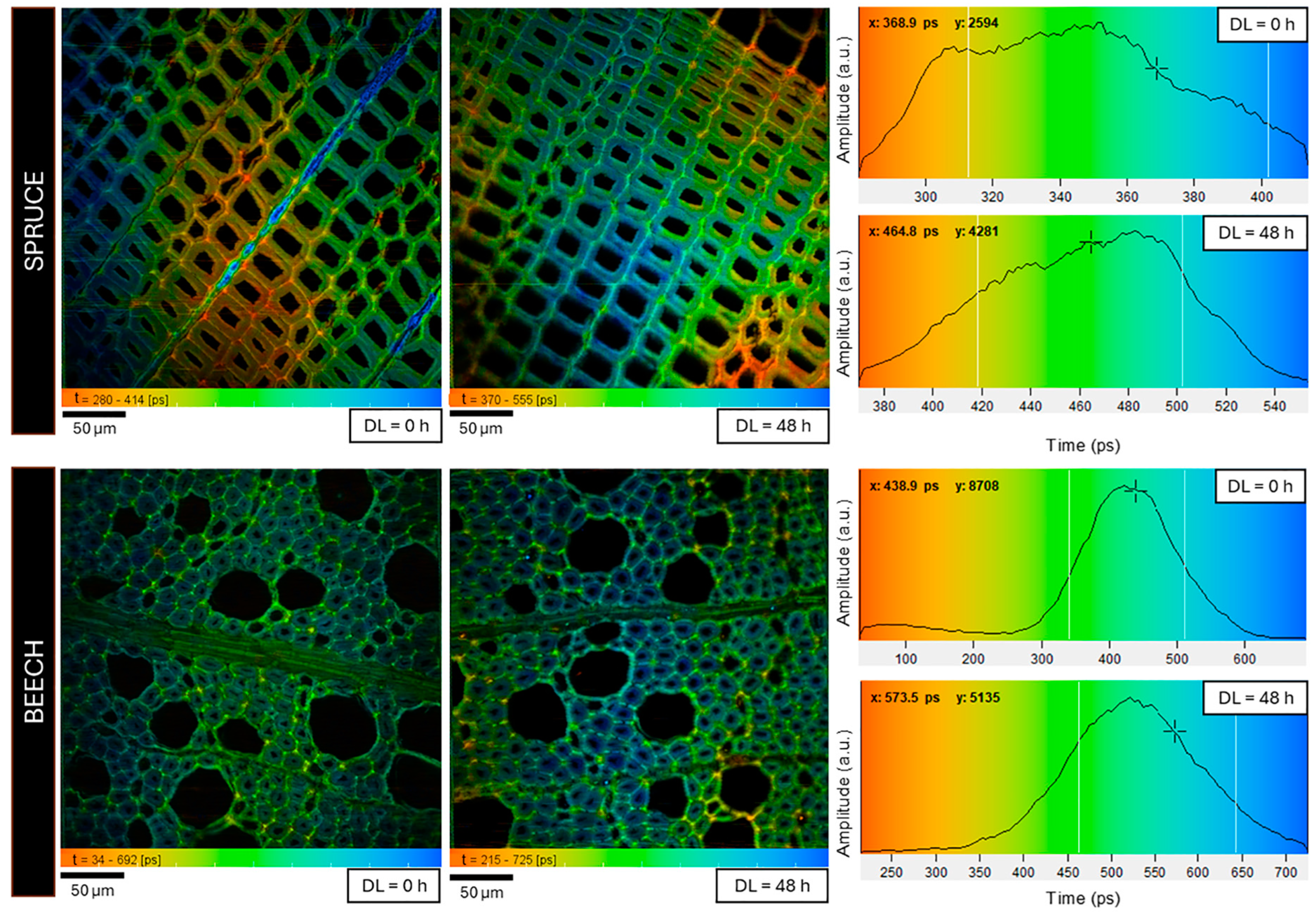 Polymers 16 03590 g004