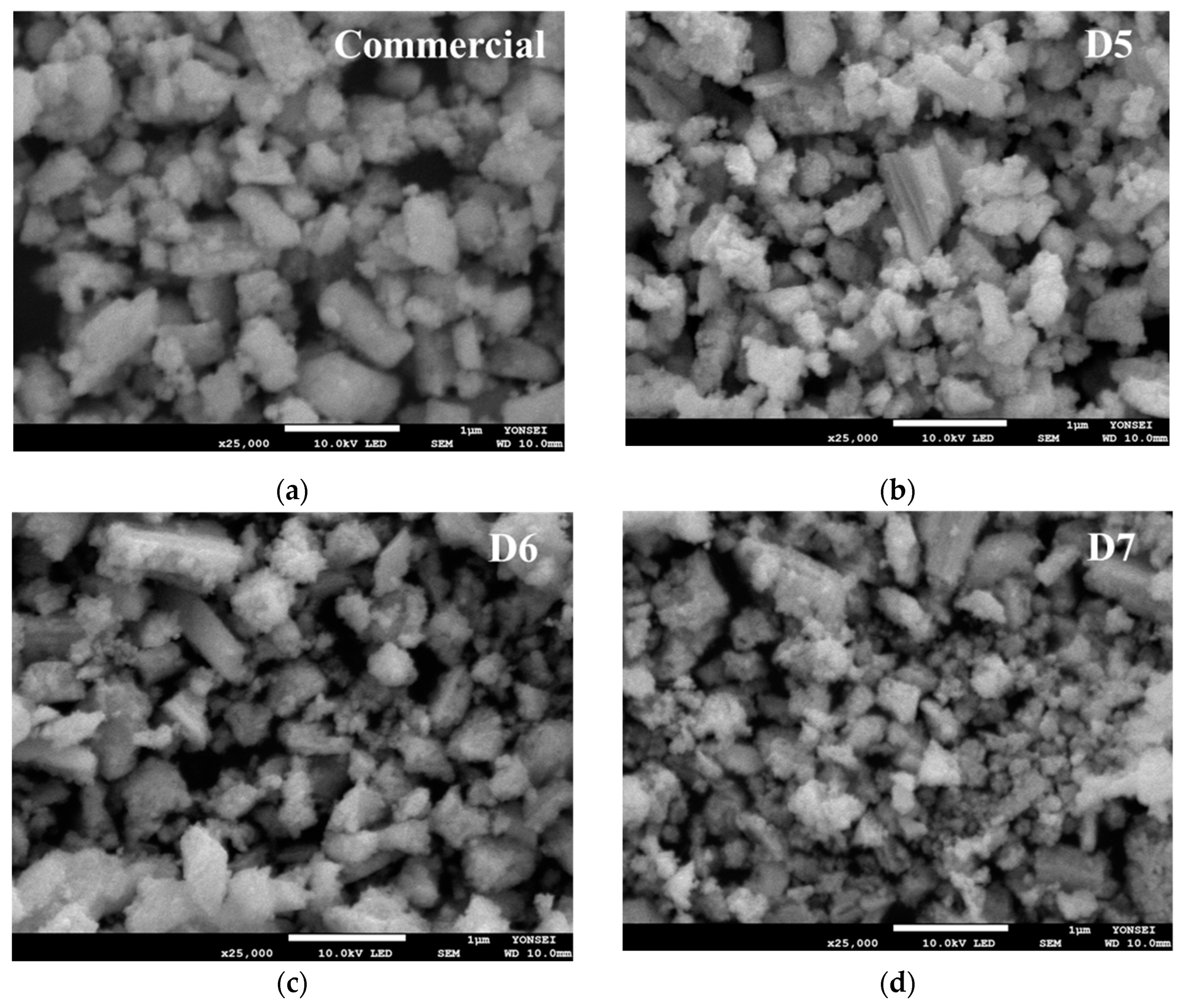 Polymers 16 03593 g014