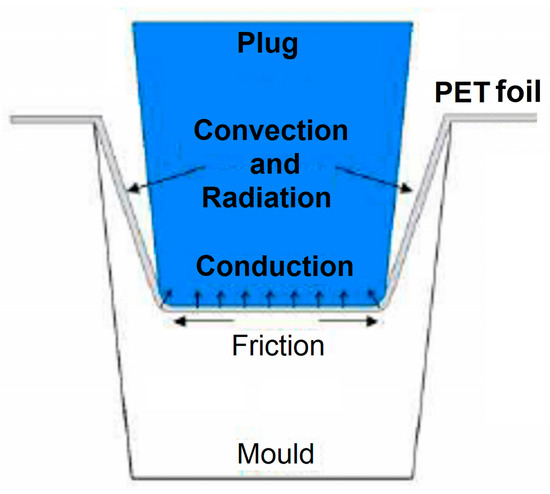 Highlighting Free-Recovery and Work-Generating Shape Memory 