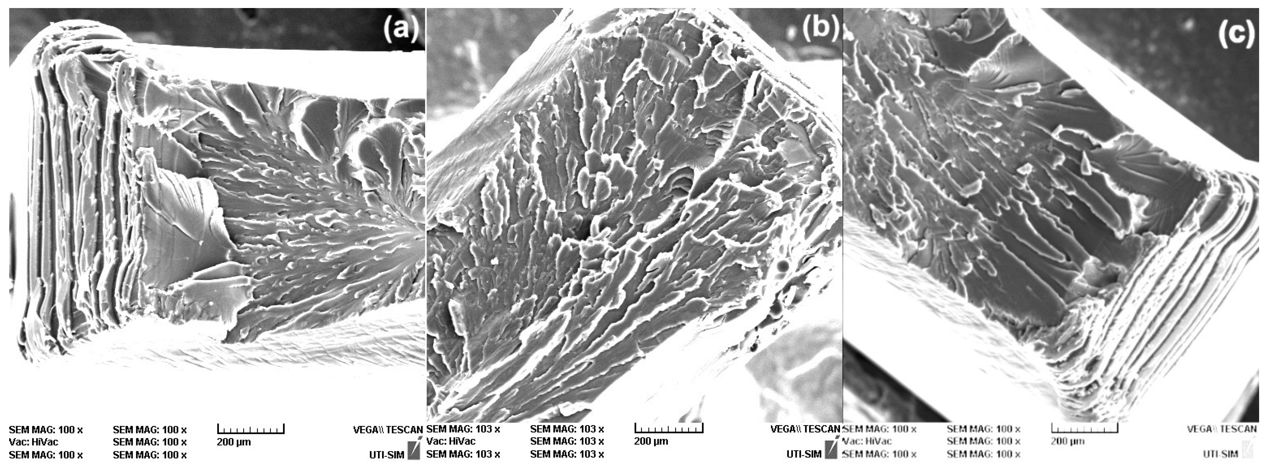 Polymers 16 03598 g006 Polymers 16 03598 g006