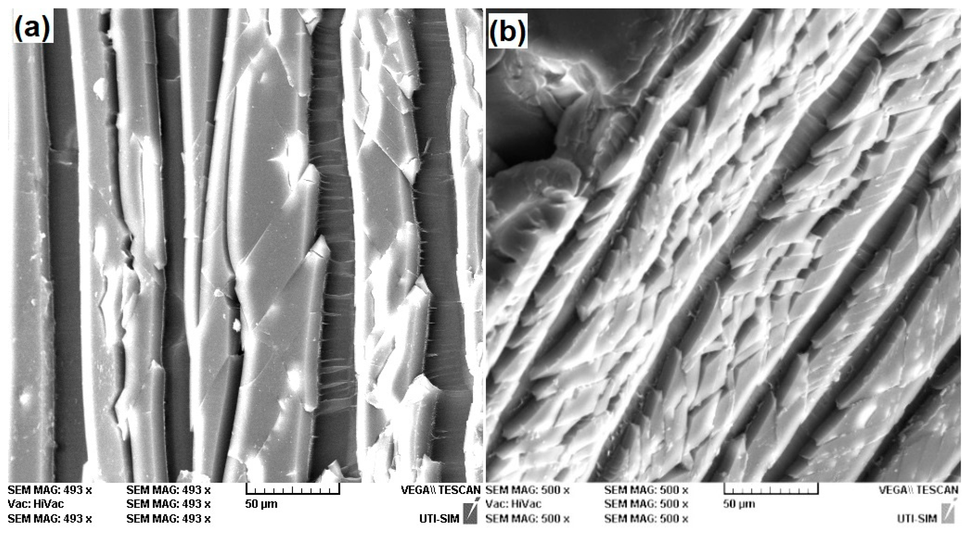 Polymers 16 03598 g007 Polymers 16 03598 g007