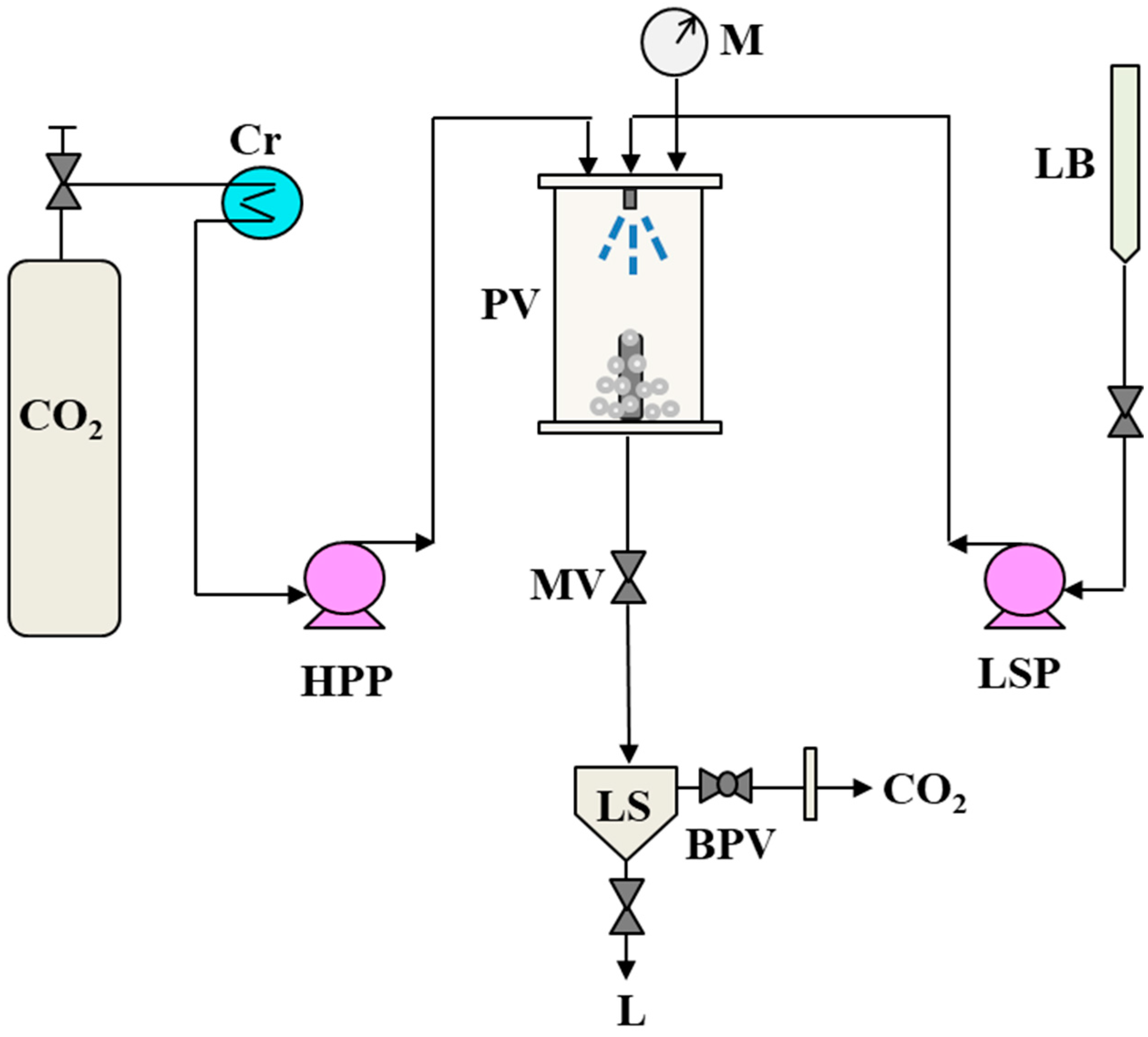 Polymers 16 03600 g001