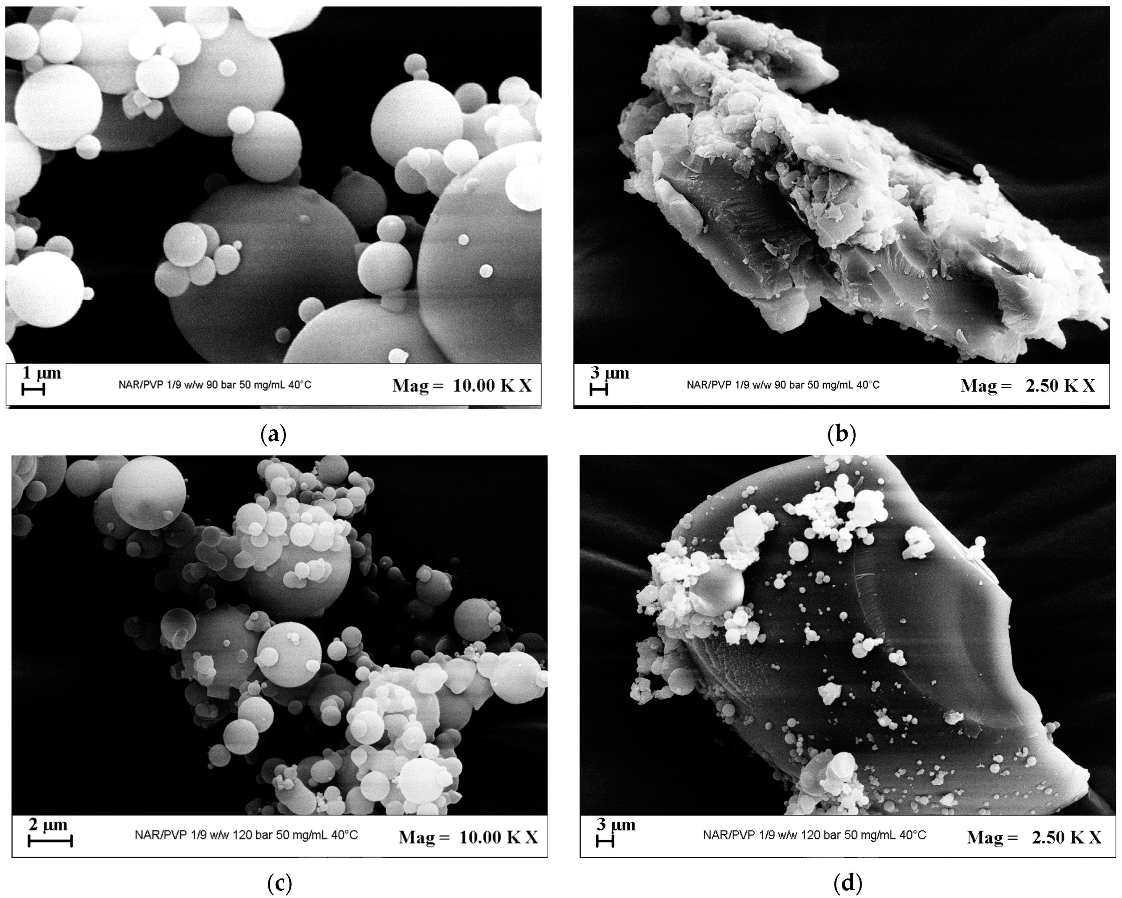 Polymers 16 03600 g006