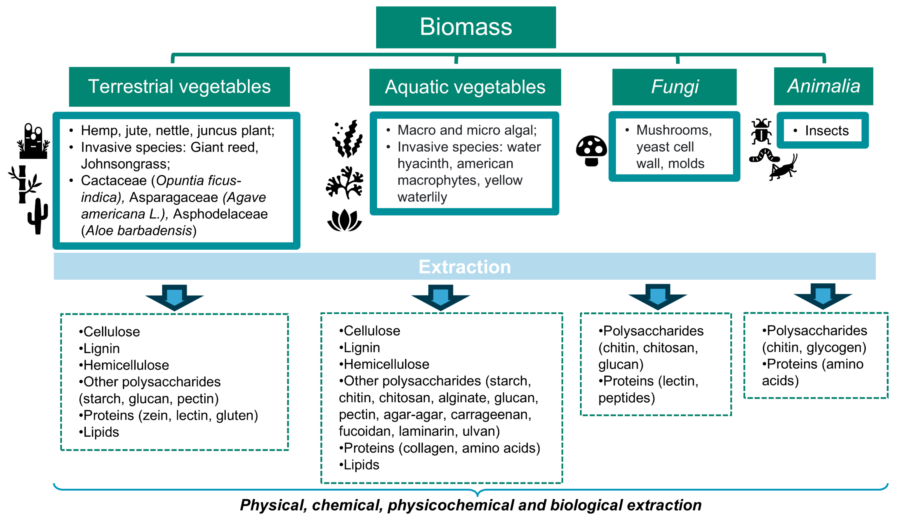 Polymers 16 03602 g001 Polymers 16 03602 g001