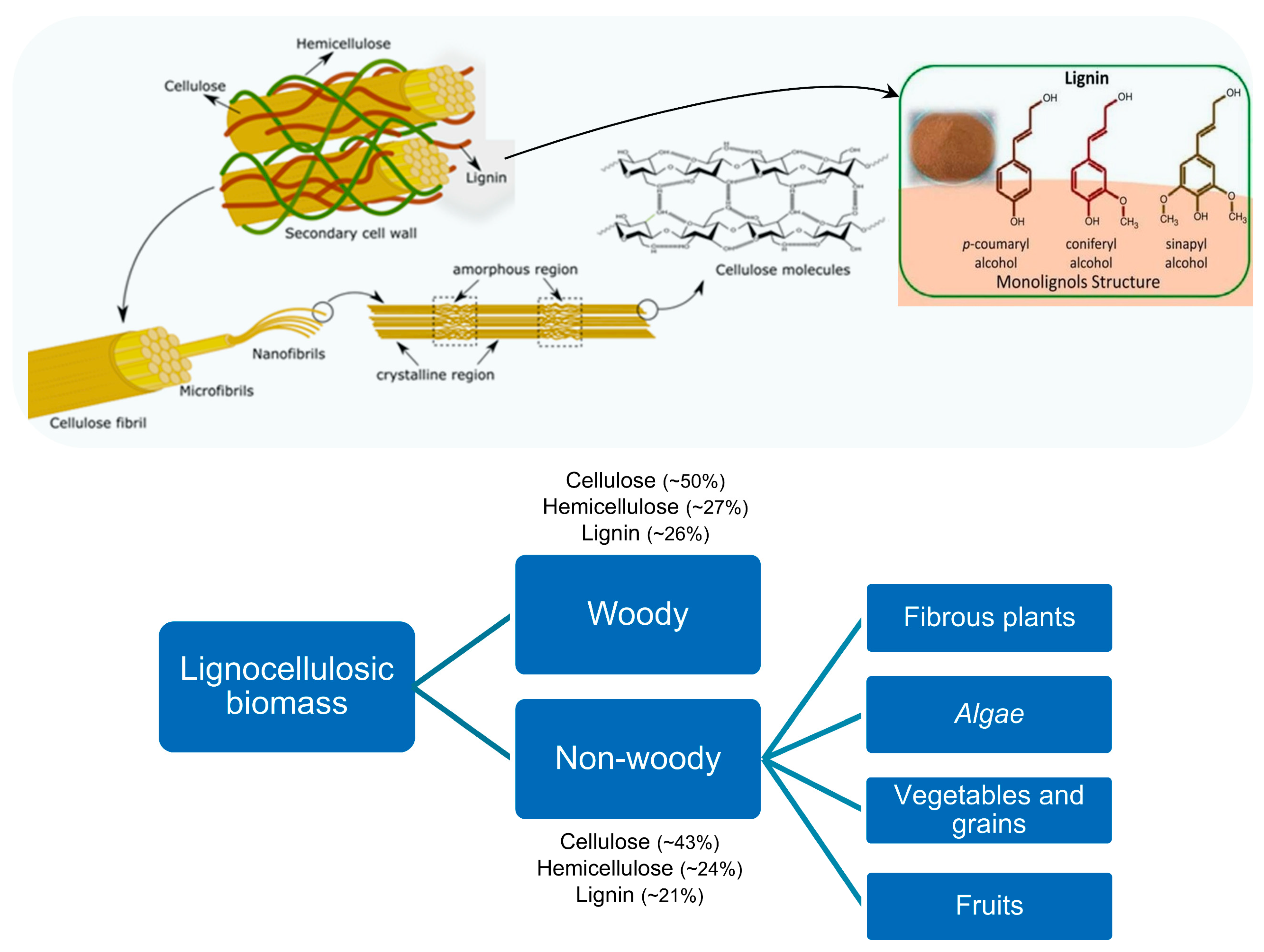 Polymers 16 03602 g004 Polymers 16 03602 g004