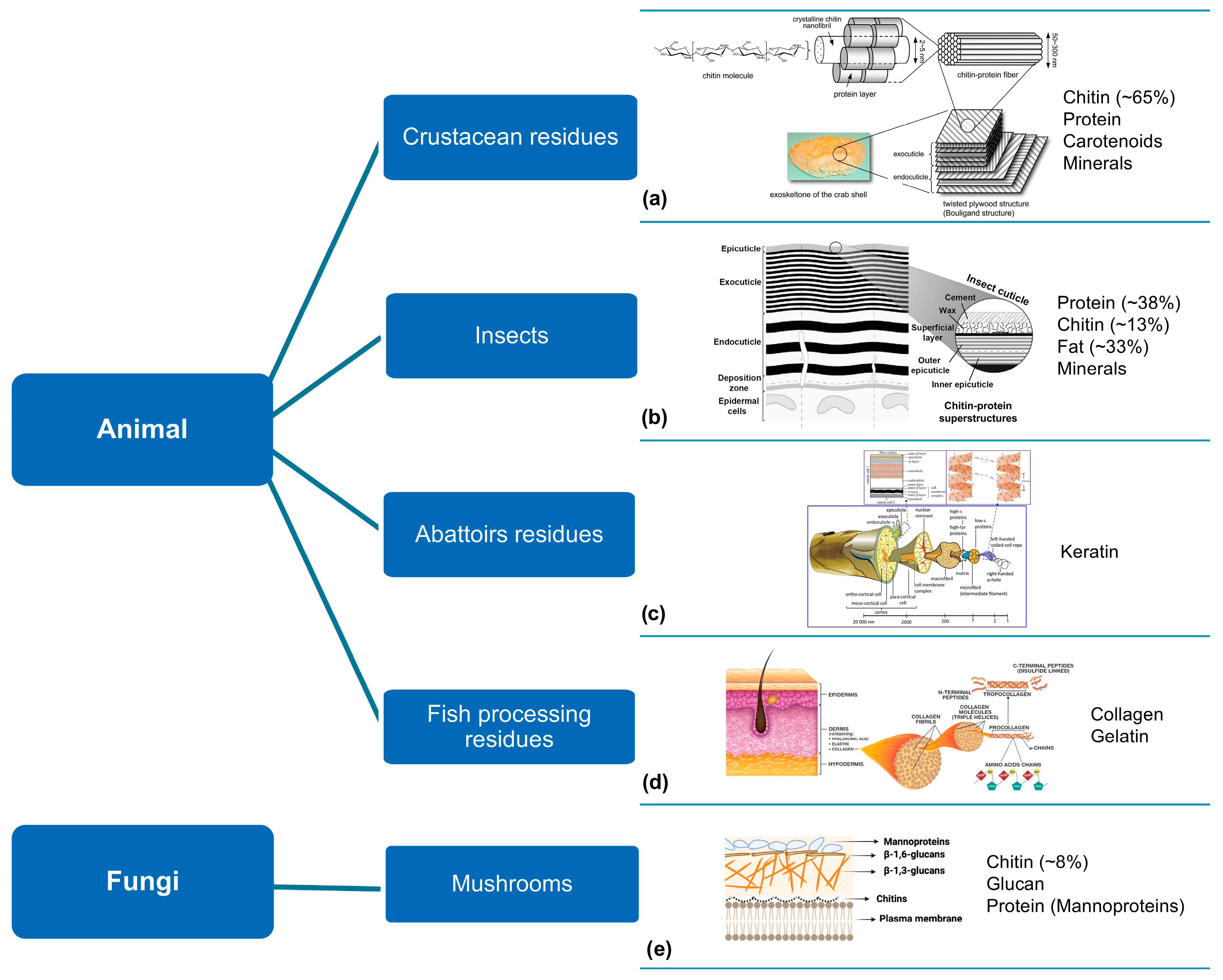 Polymers 16 03602 g005 Polymers 16 03602 g005