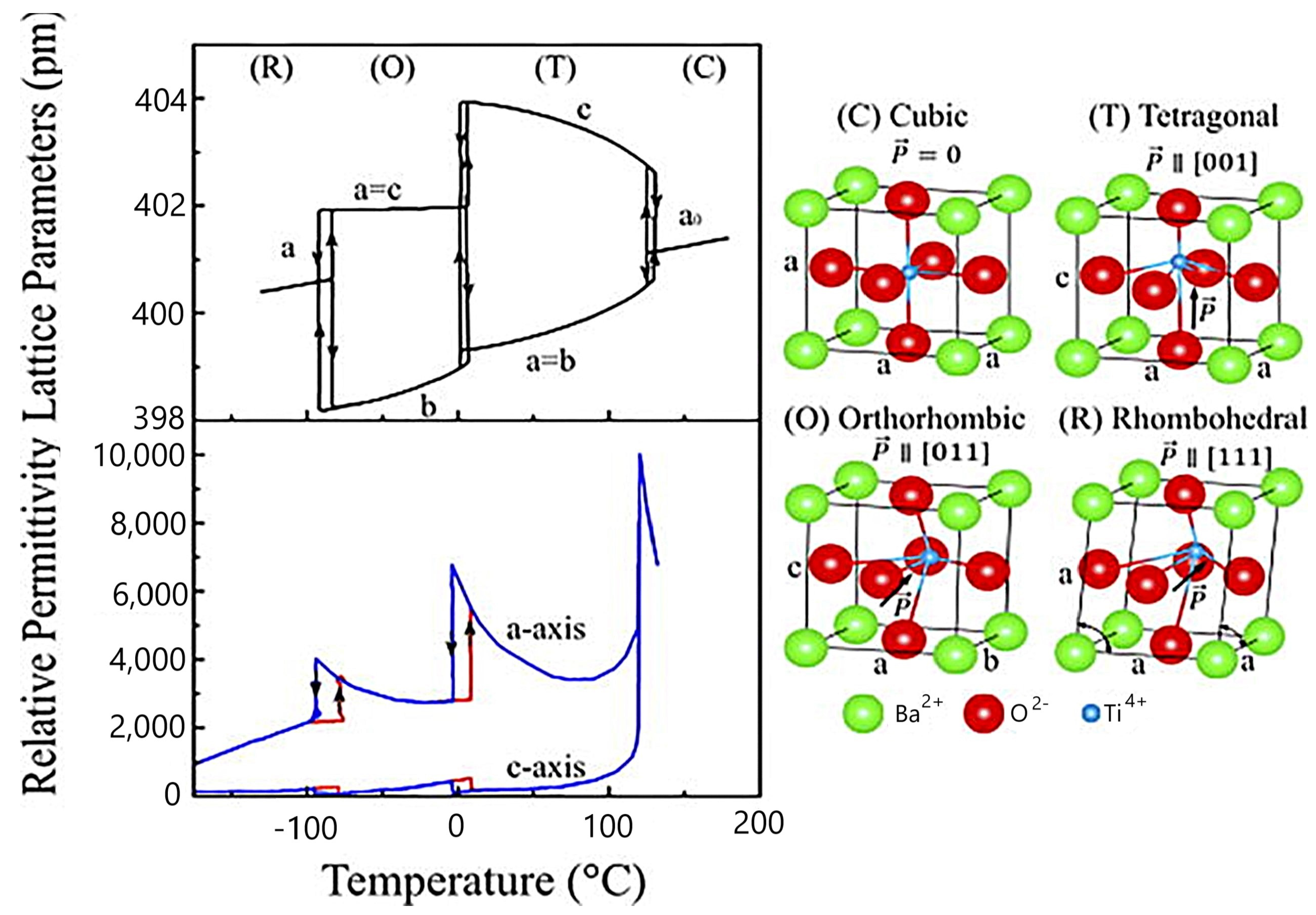 Polymers 16 03603 g003 Polymers 16 03603 g003