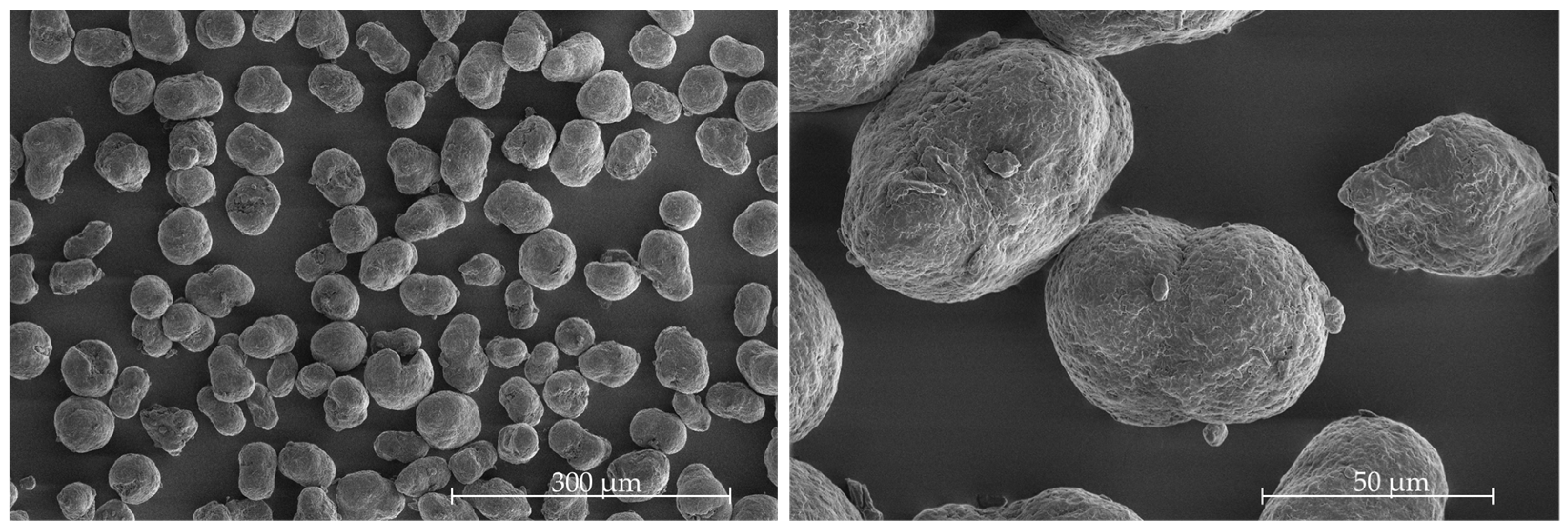 Polymers 16 03605 g005