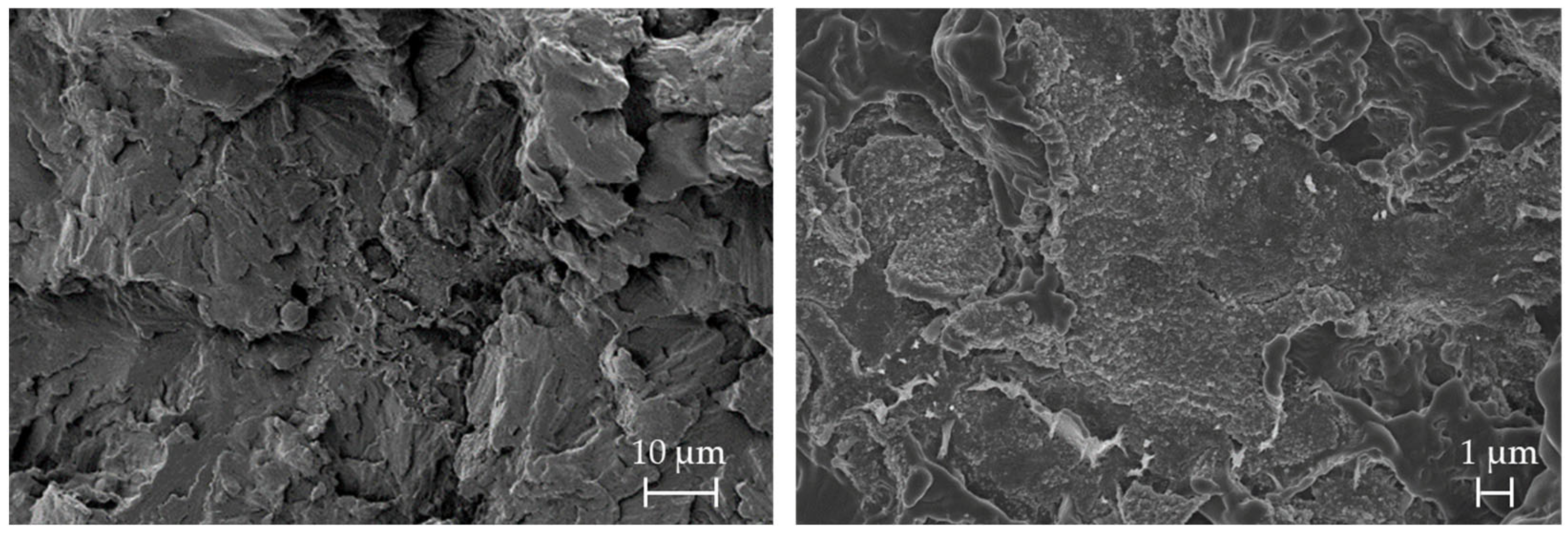 Polymers 16 03605 g012