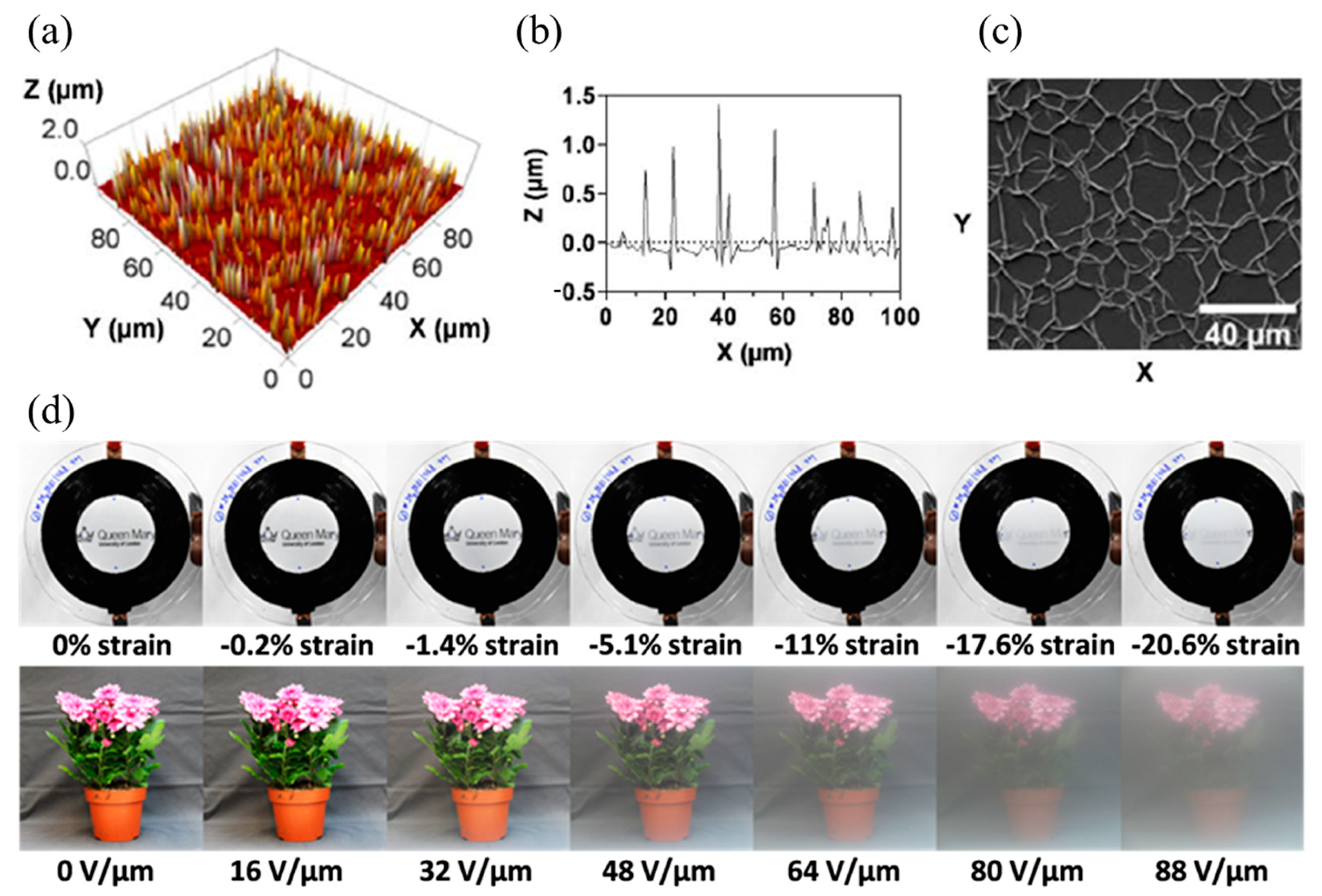 Polymers 16 03612 g002