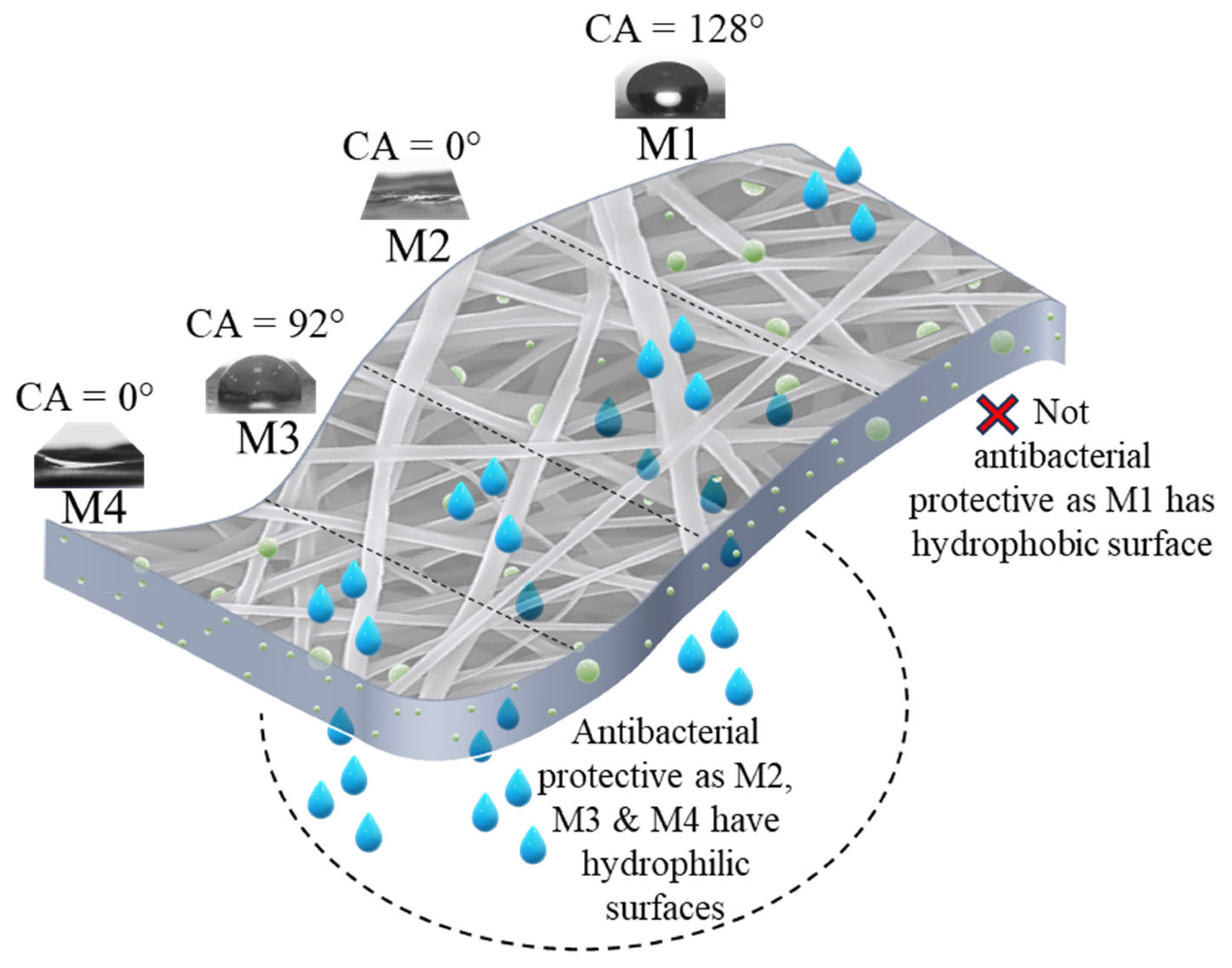 Polymers 16 03613 g011