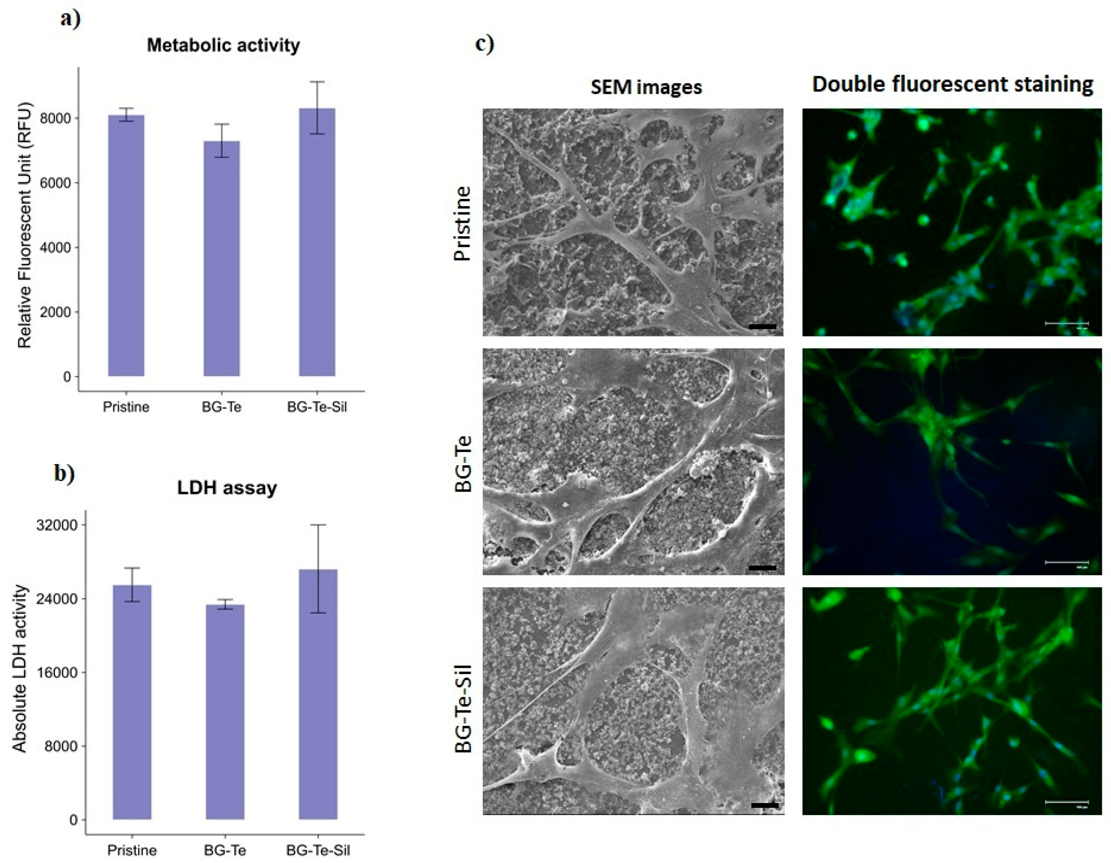 Polymers 16 03614 g011