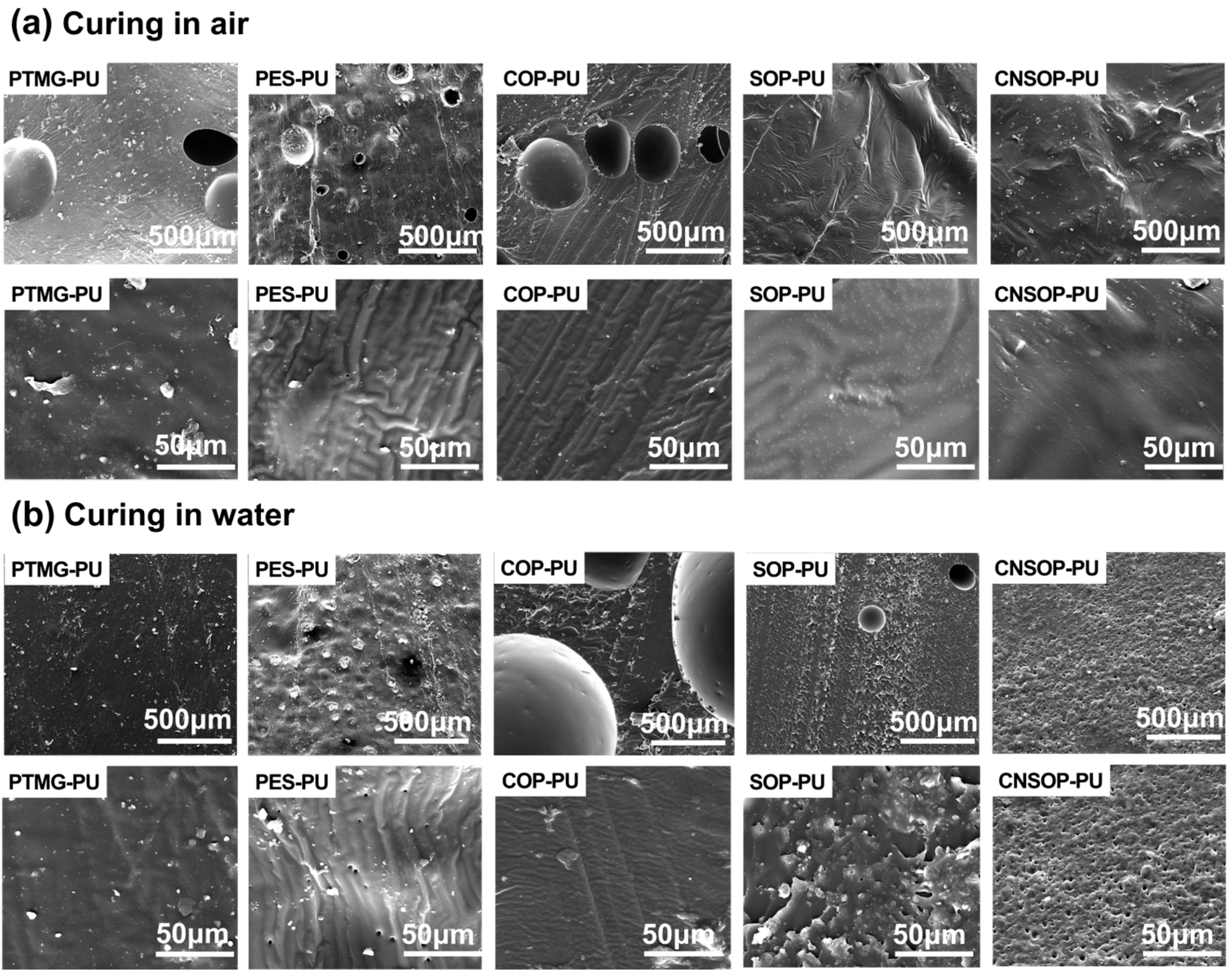 Polymers 17 00005 g010