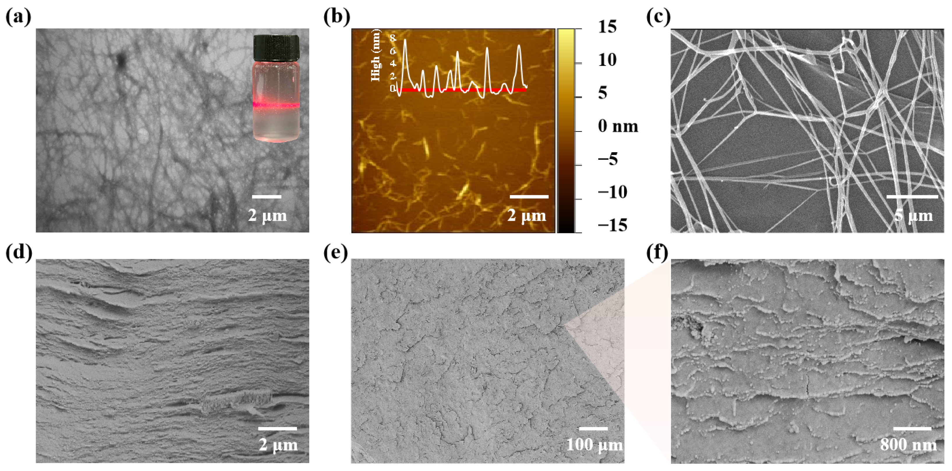Polymers 17 00006 g002
