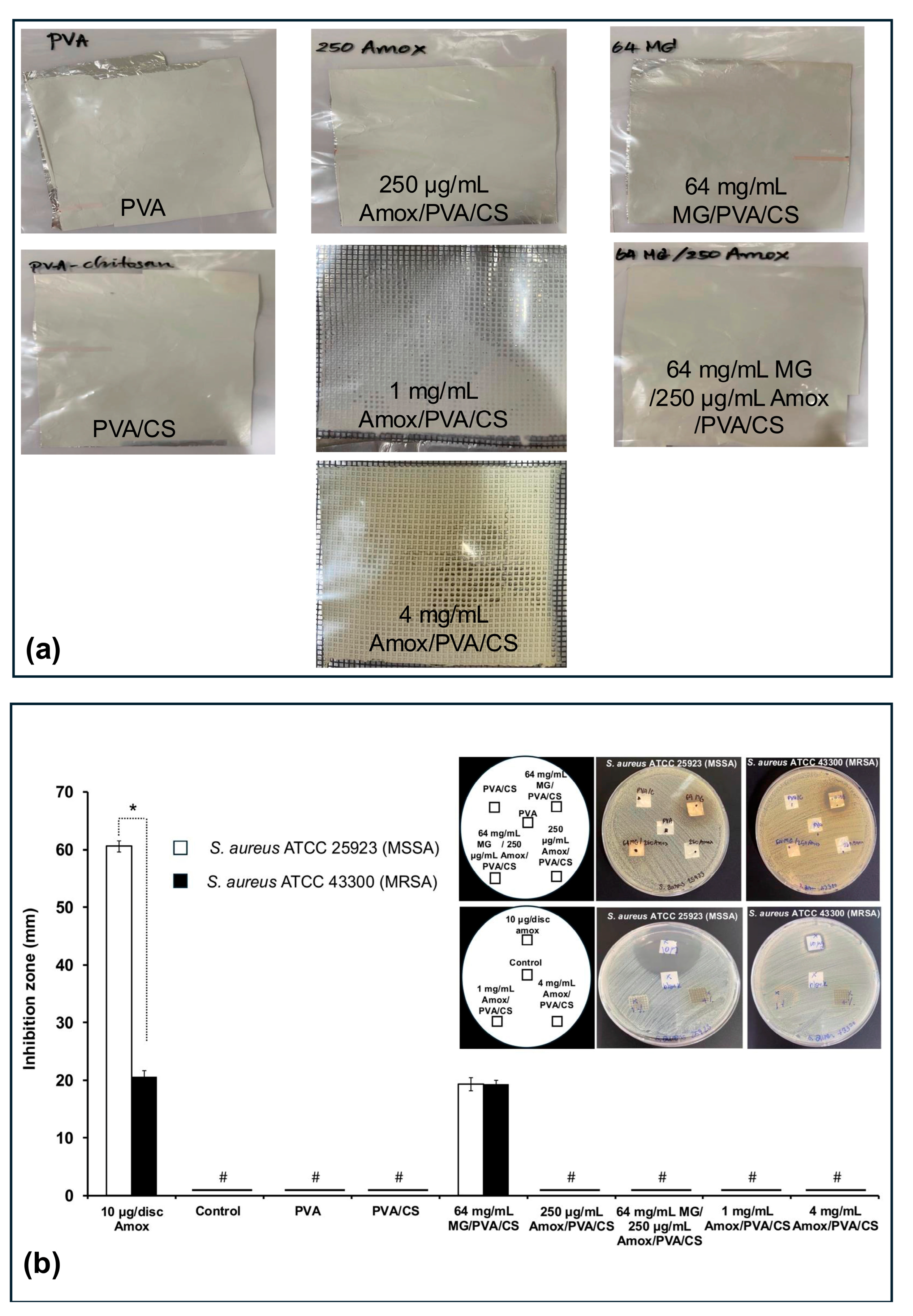 Polymers 17 00007 g002