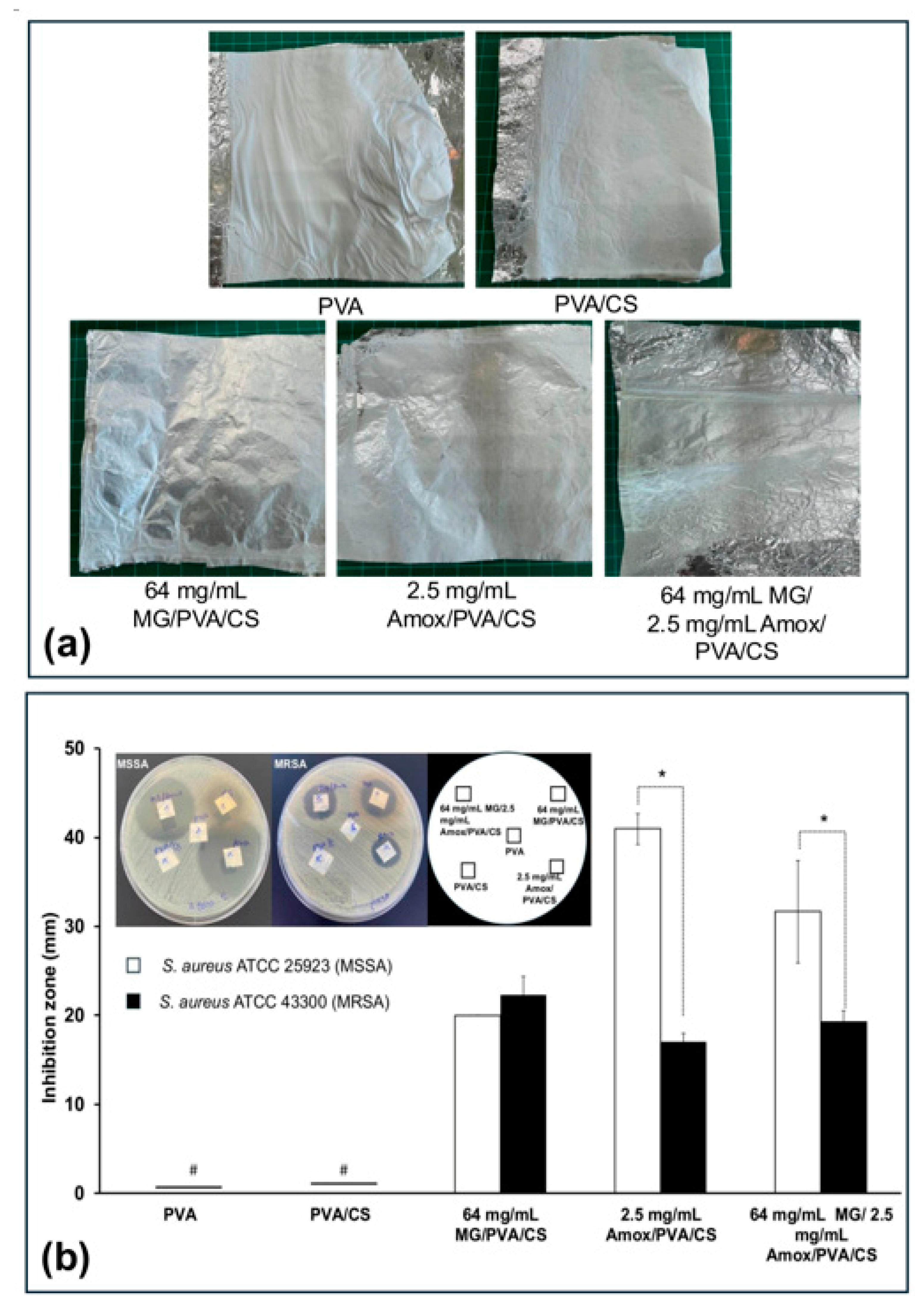 Polymers 17 00007 g004