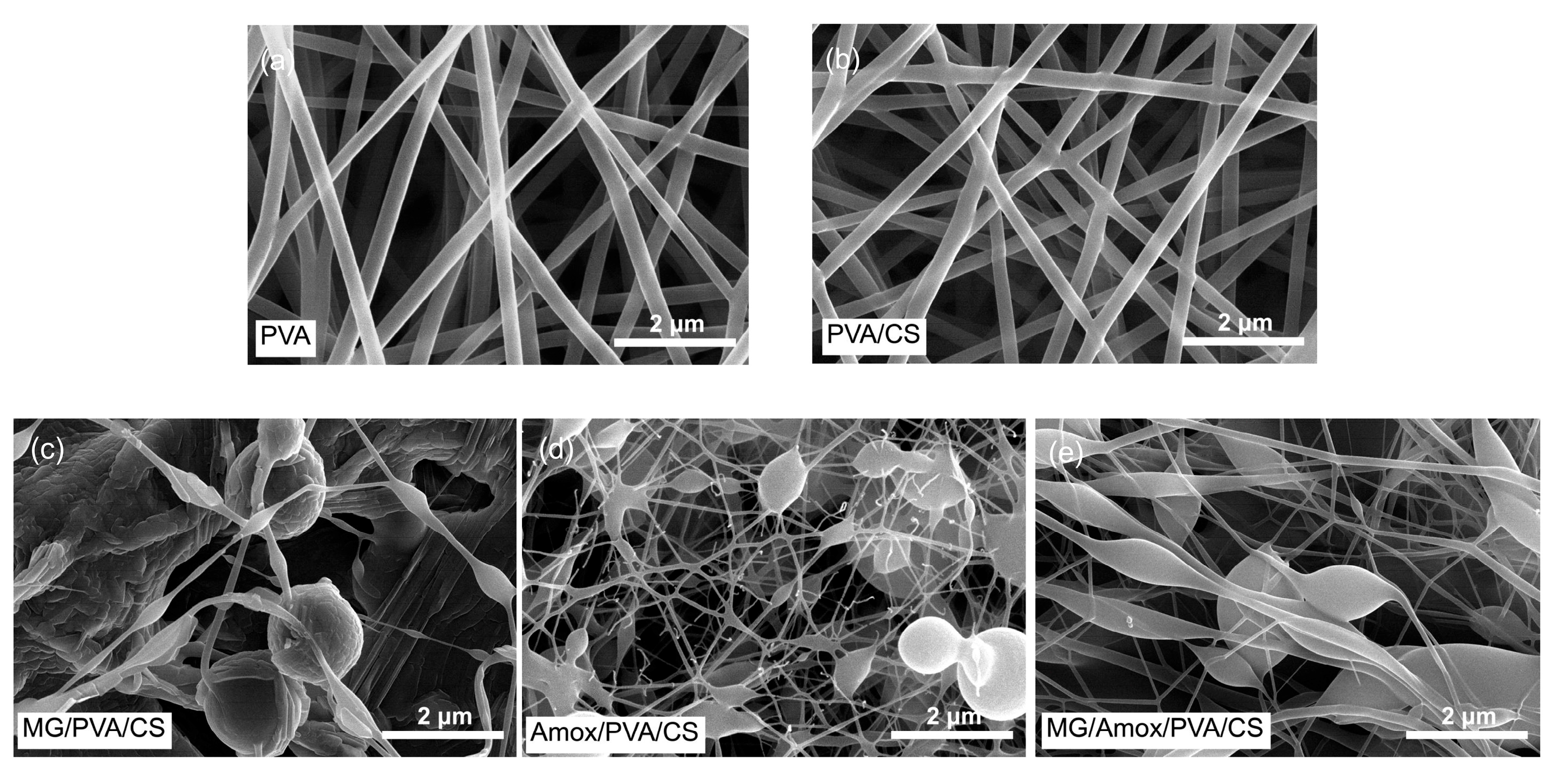 Polymers 17 00007 g005