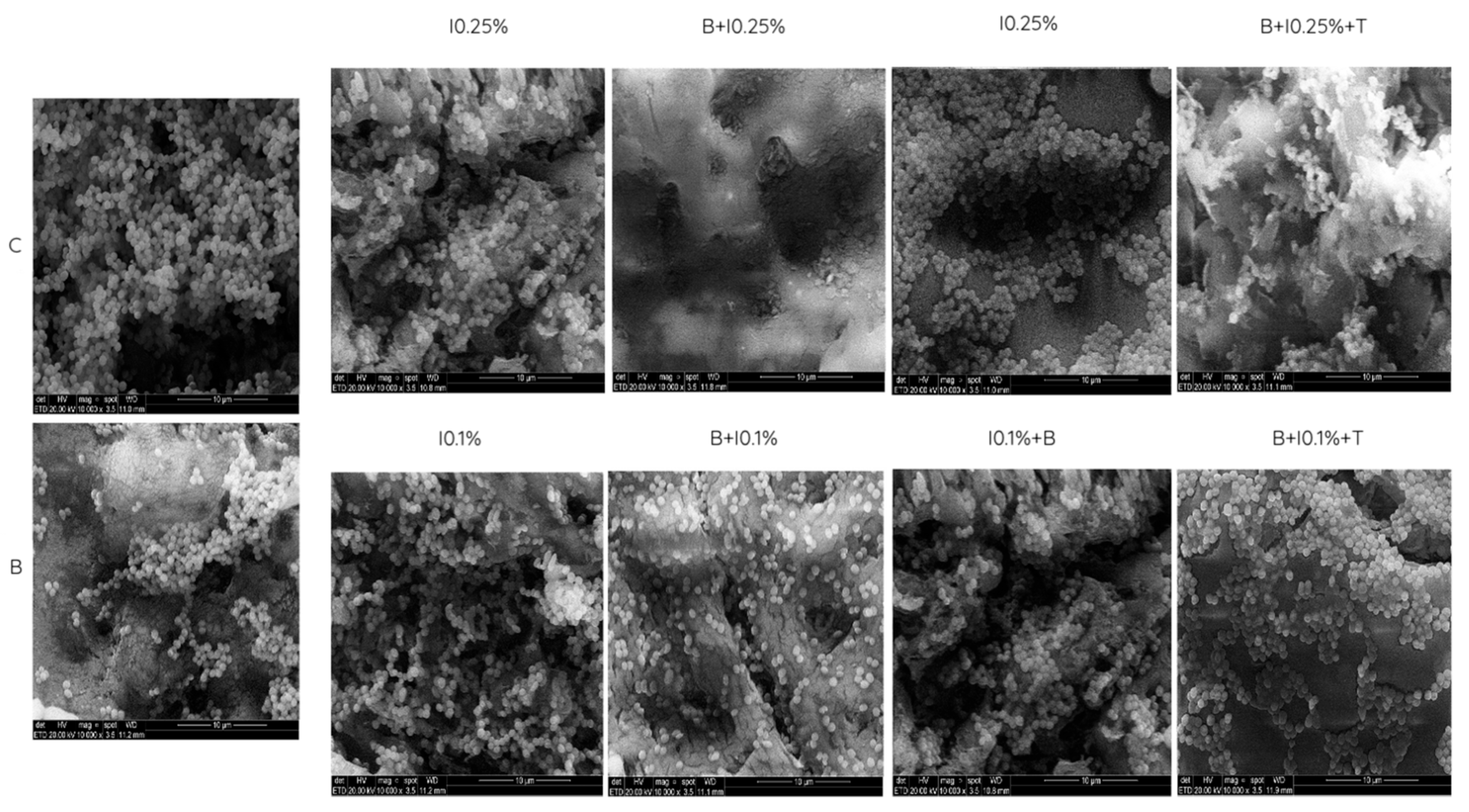 Polymers 17 00008 g006