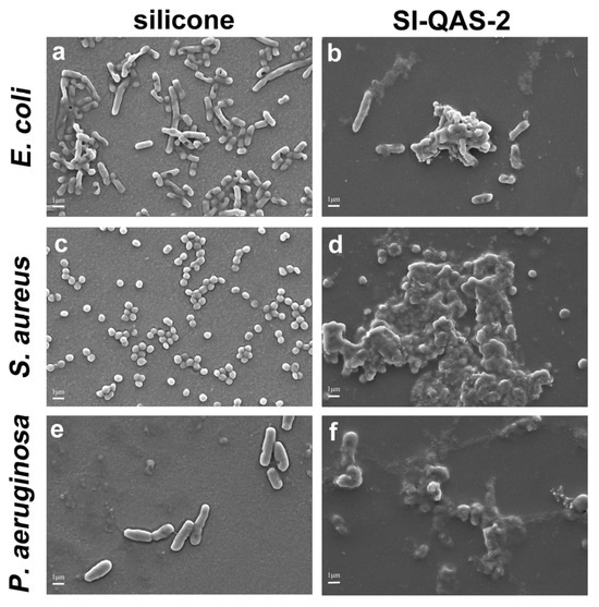 Covalent Grafting of Quaternary Ammonium Salt-Containing Polyurethane onto  Silicone Substrates to Enhance Bacterial Contact-Killing Ability