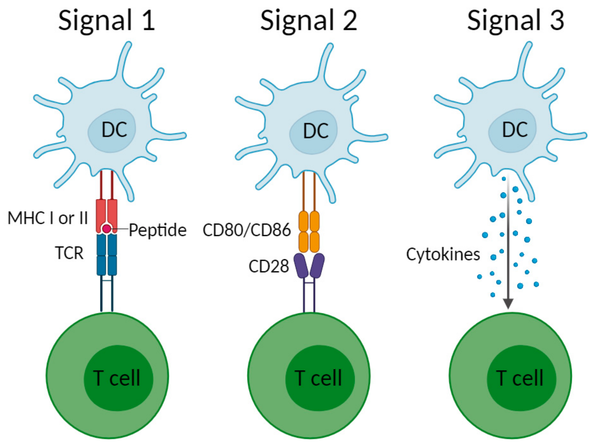 Polymers 17 00019 g002
