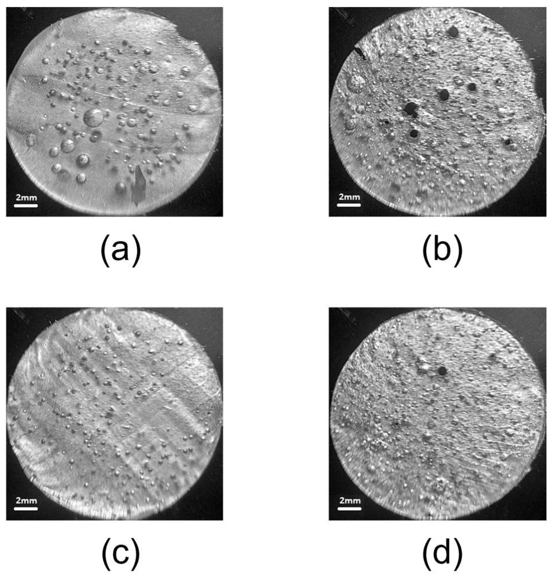 Polymers 17 00020 g004