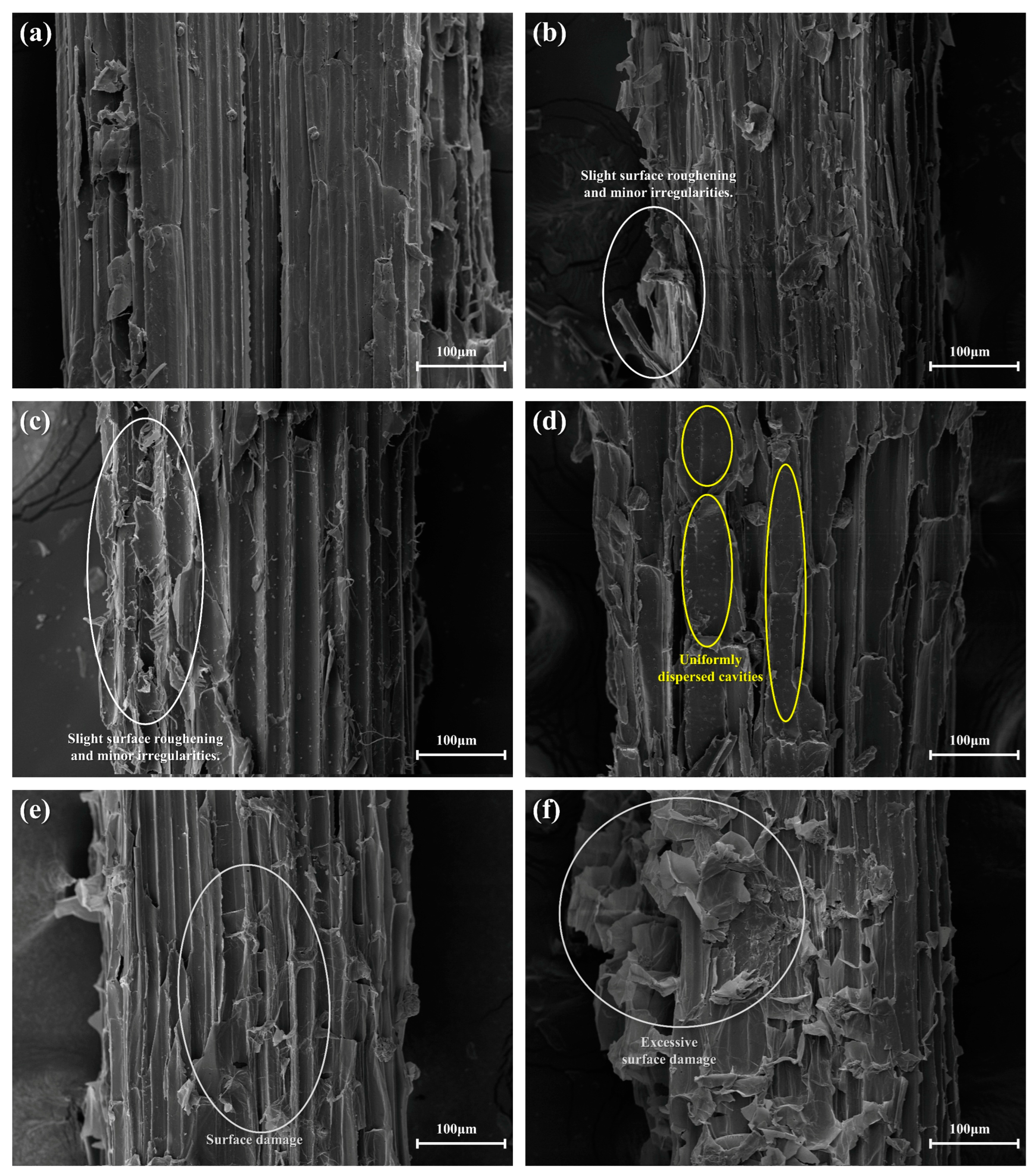 Polymers 17 00022 g009
