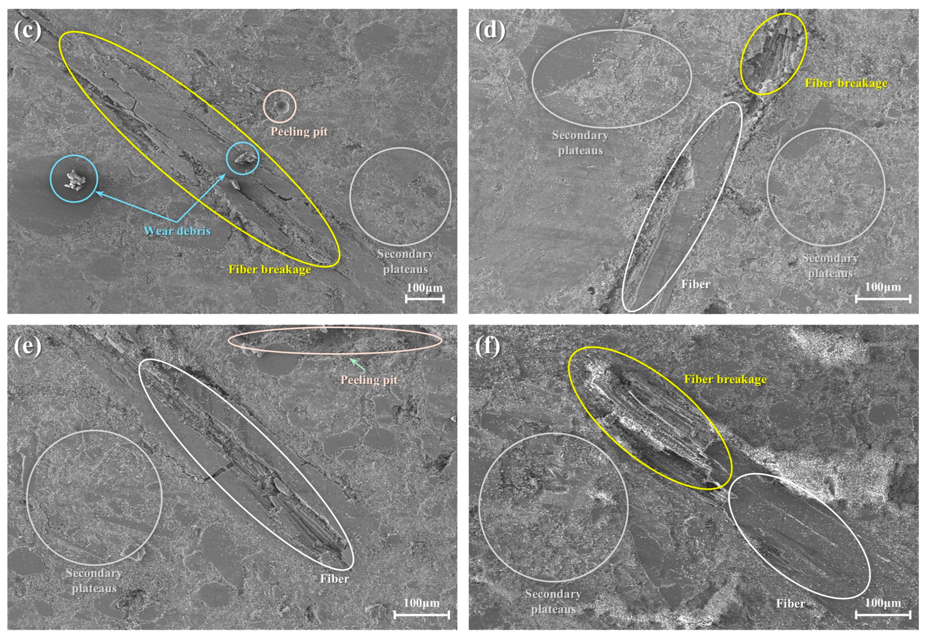 Polymers 17 00022 g010b