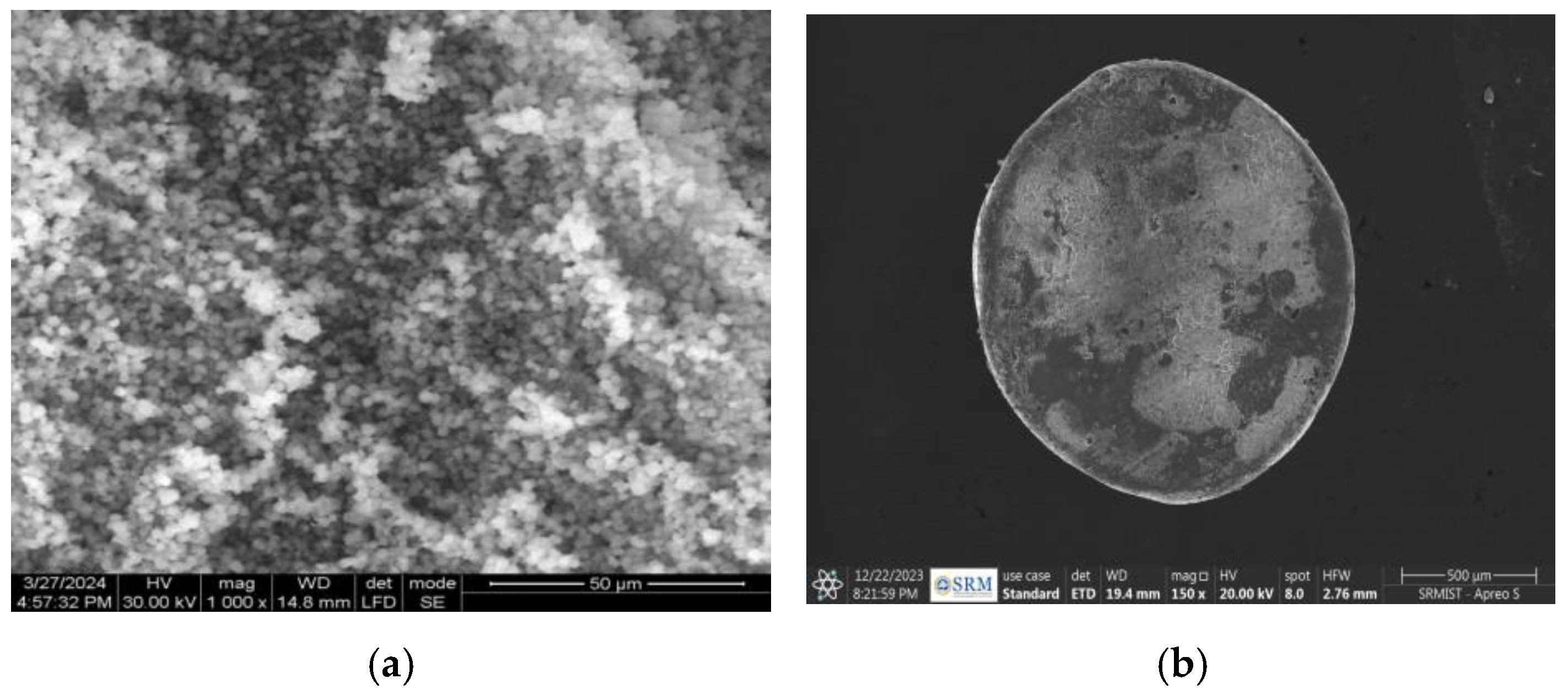 Polymers 17 00024 g006