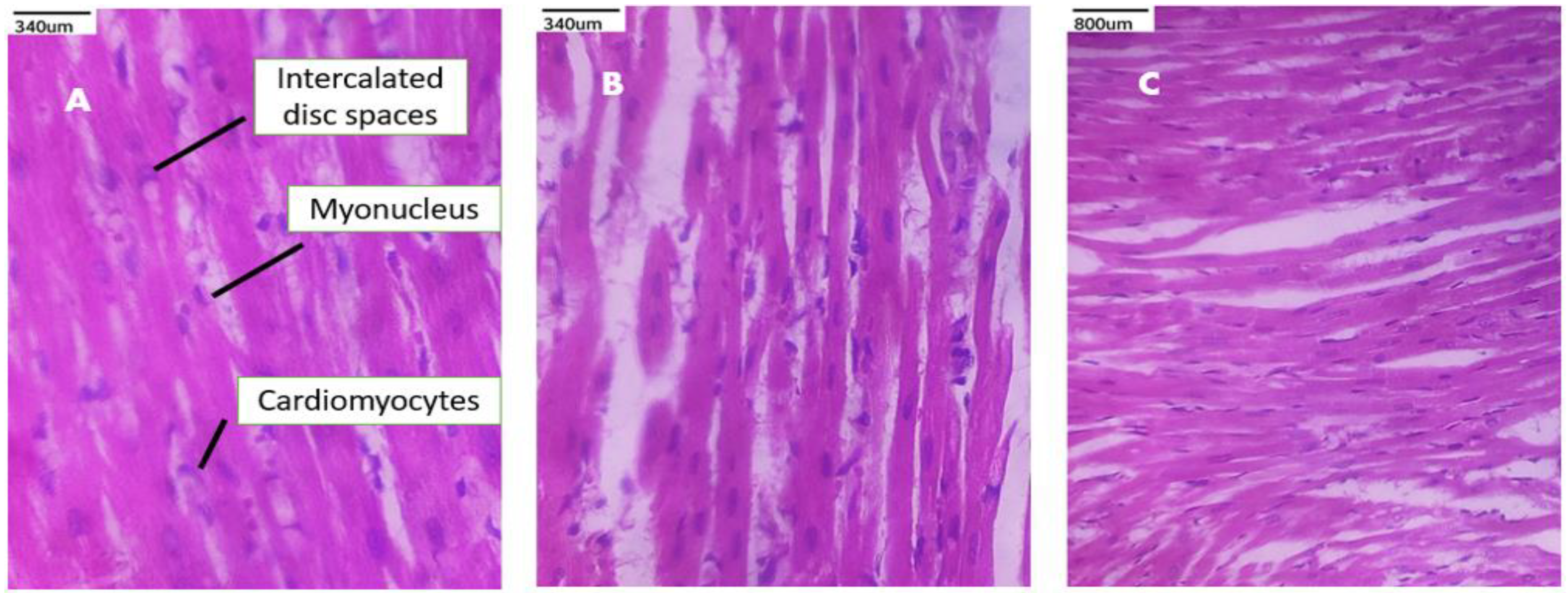 Polymers 17 00024 g011